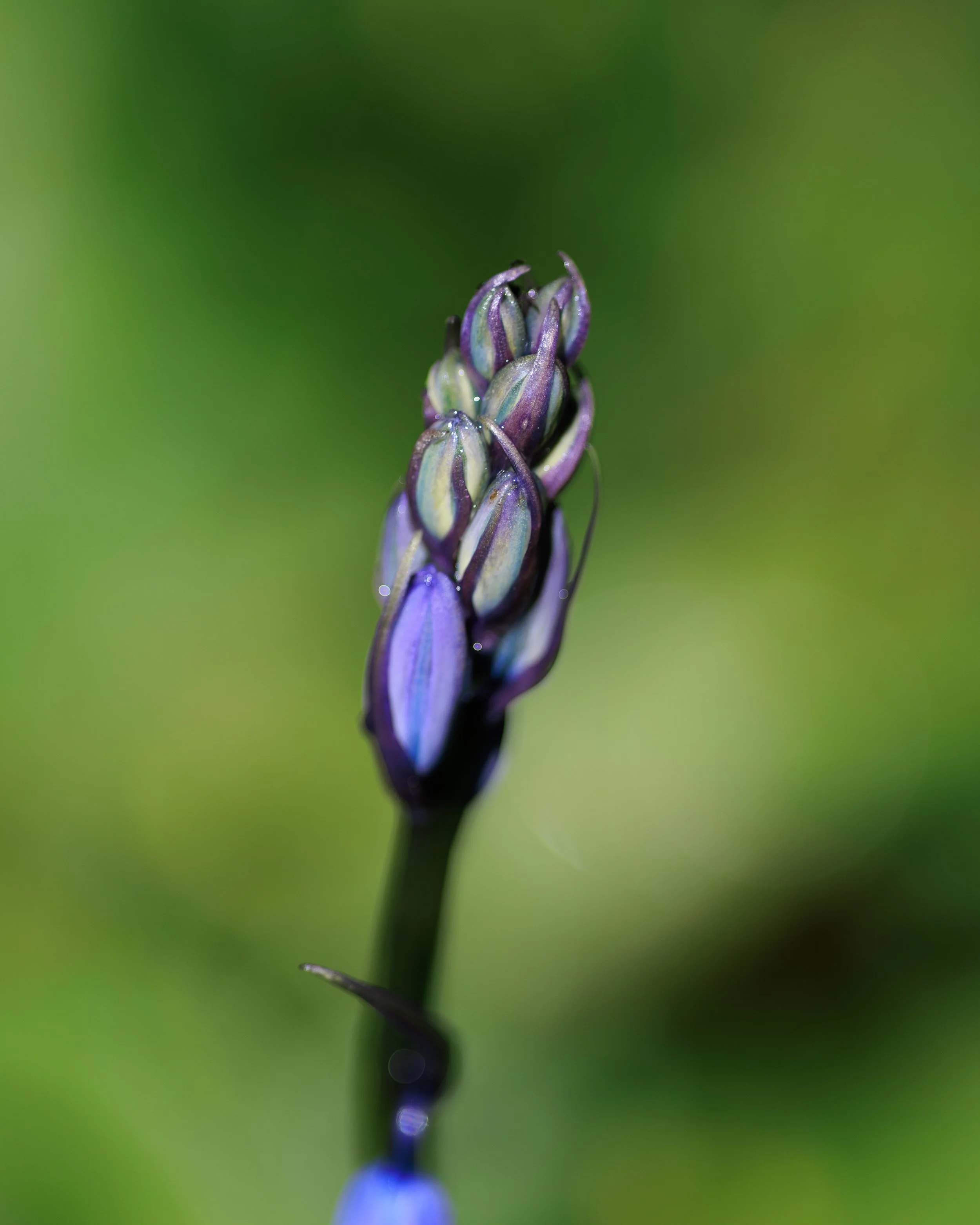 _MG_6619.jpg