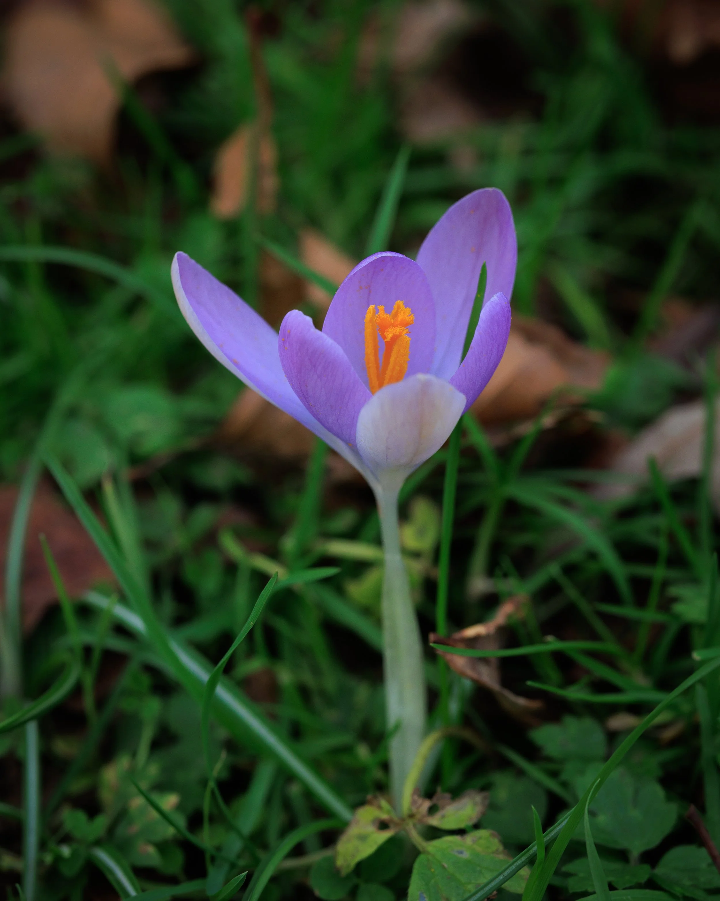 IMG_8439.jpg
