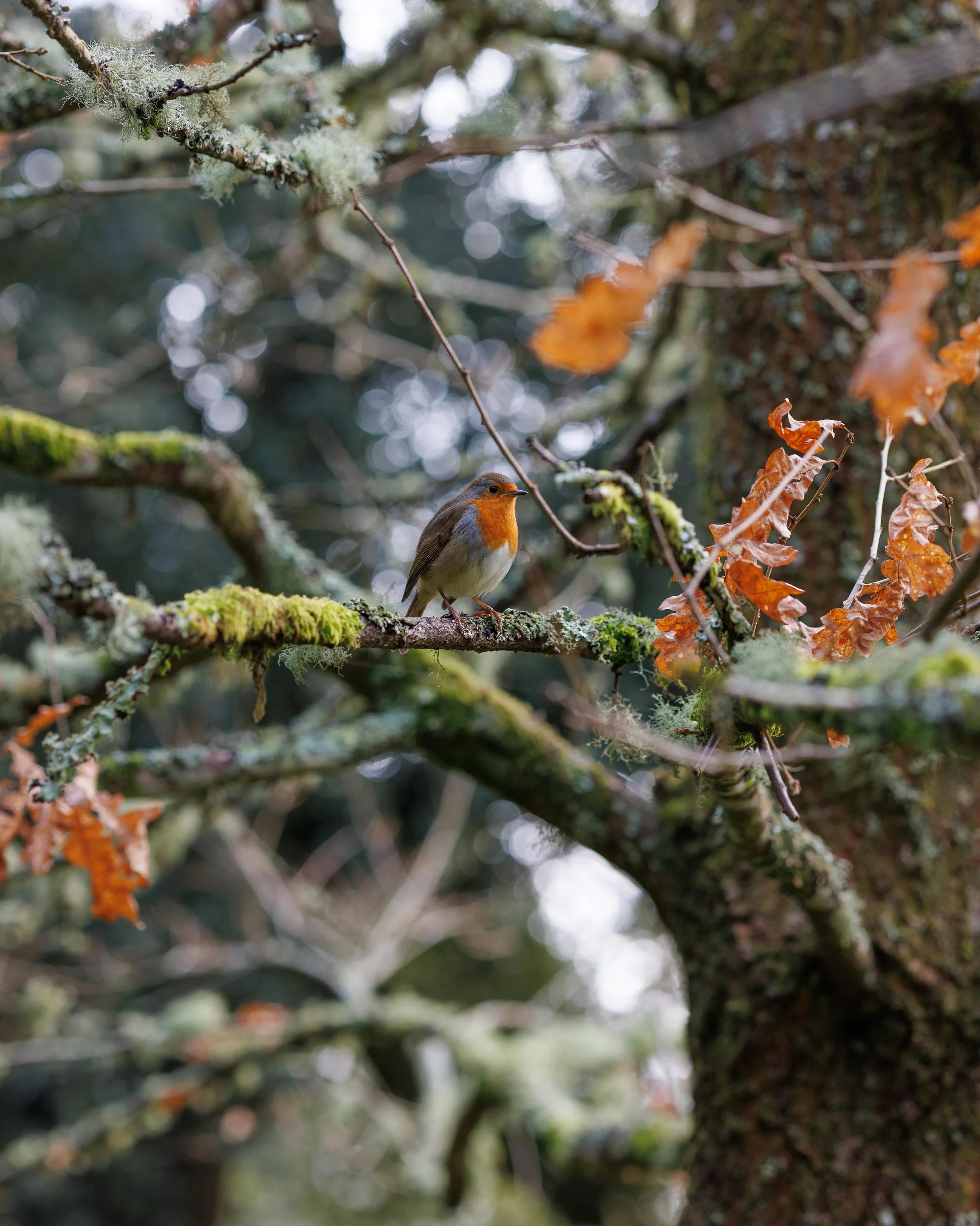 _MG_3402.jpg