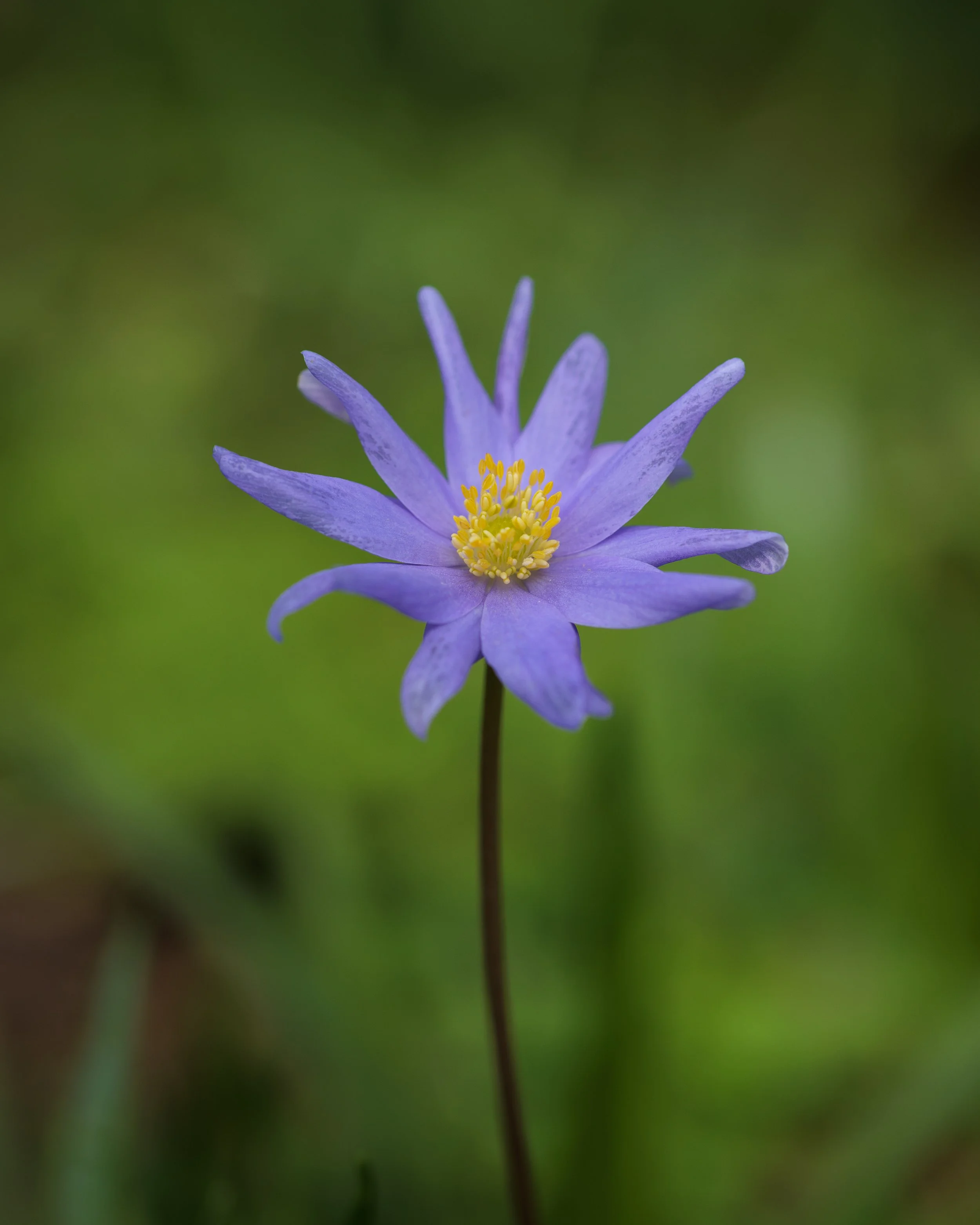 _MG_4640.jpg