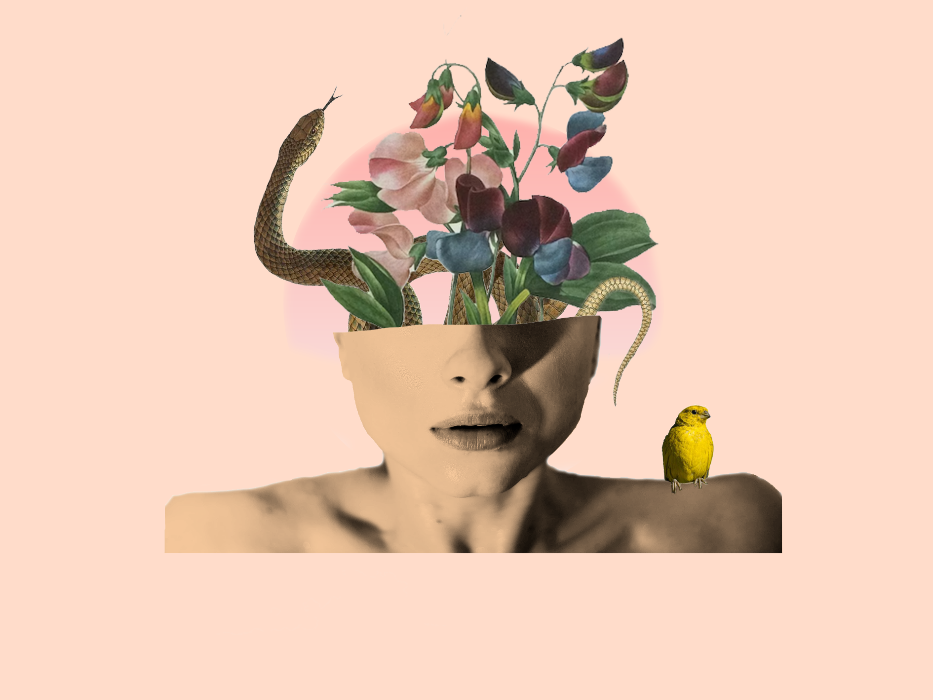 collage.png