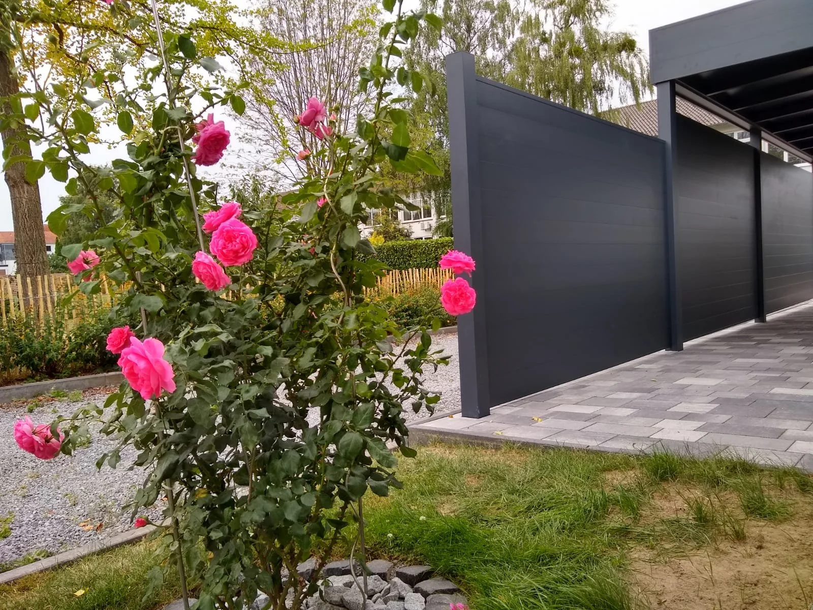 Copy of foto_s van Marcel (1).jpeg