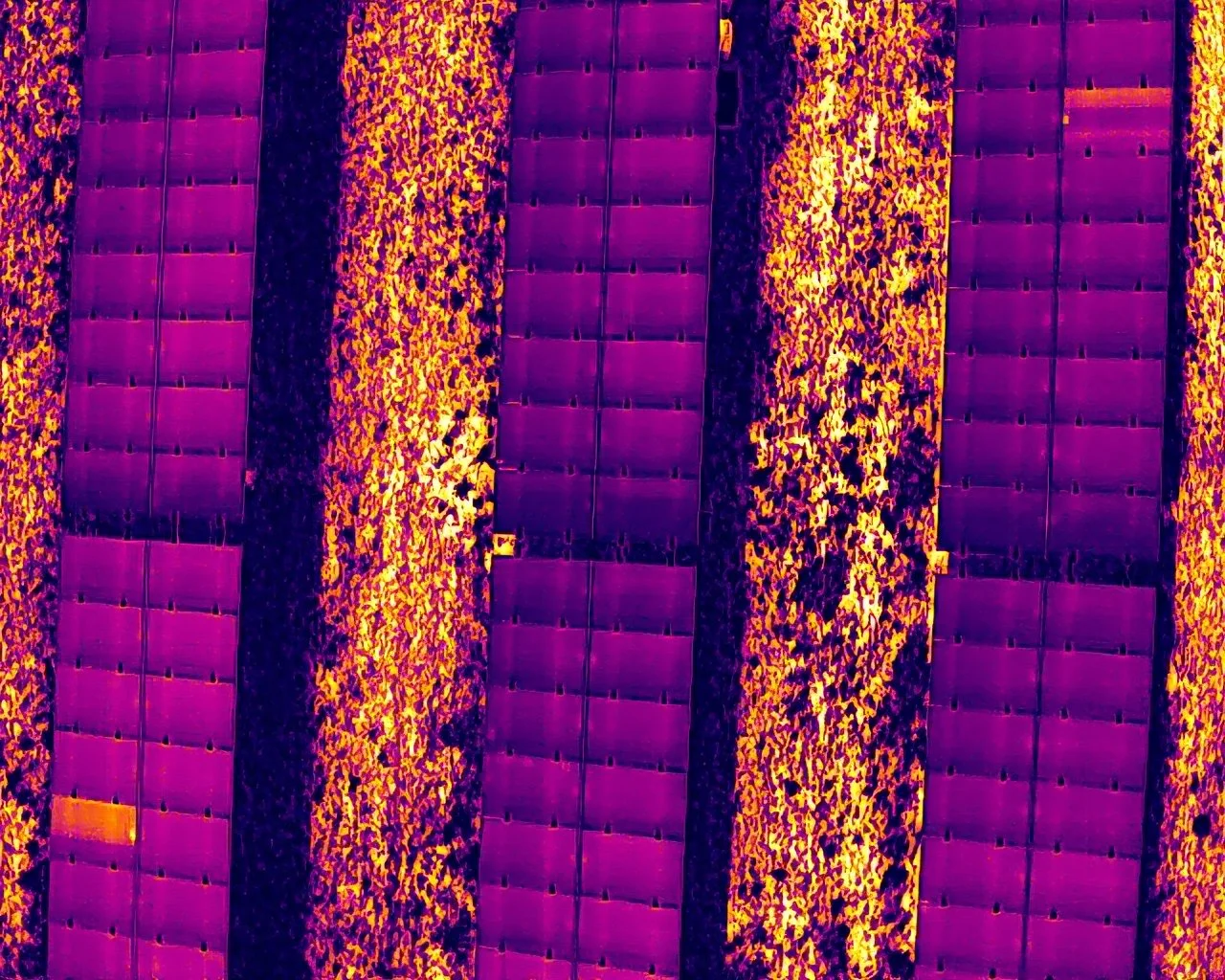DJI_20250706105140_0929_T.JPG