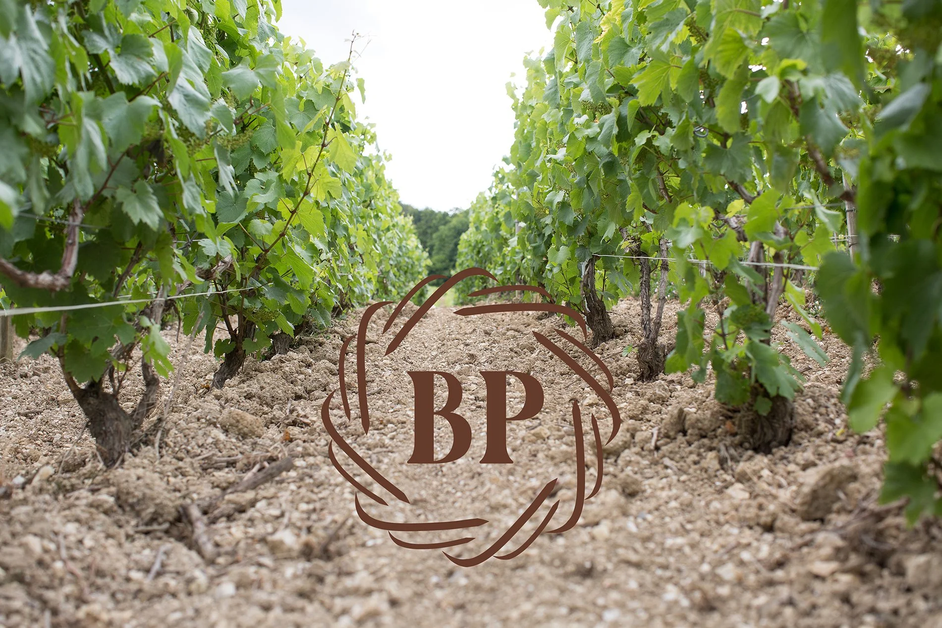 Winemakers Dinner med Bruno Paillard