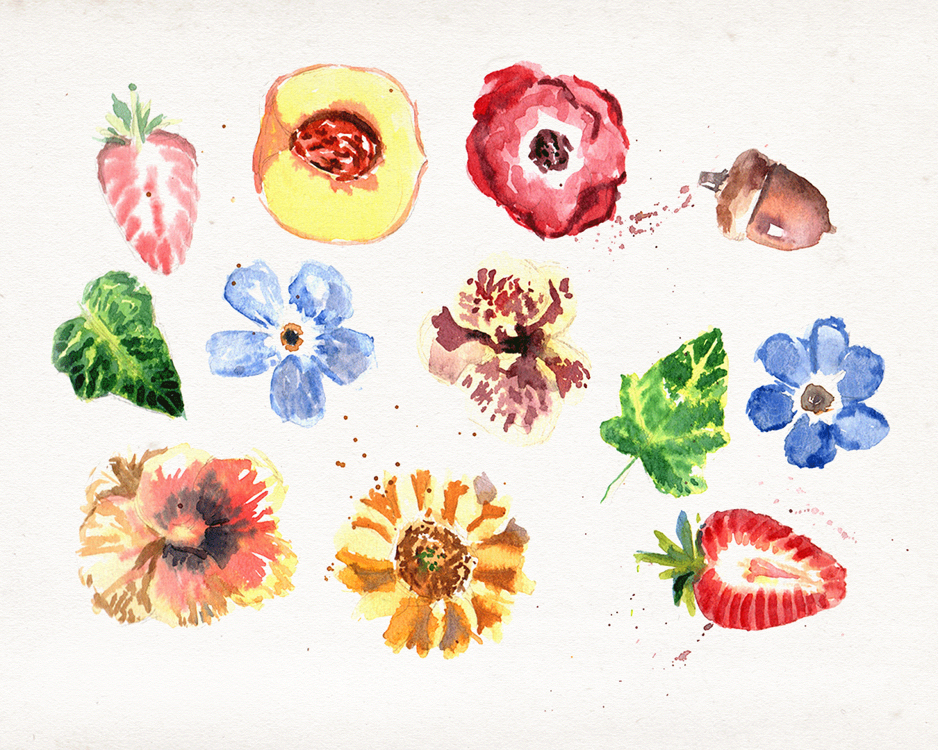 Botanical Watercolours with Alfie Gatt