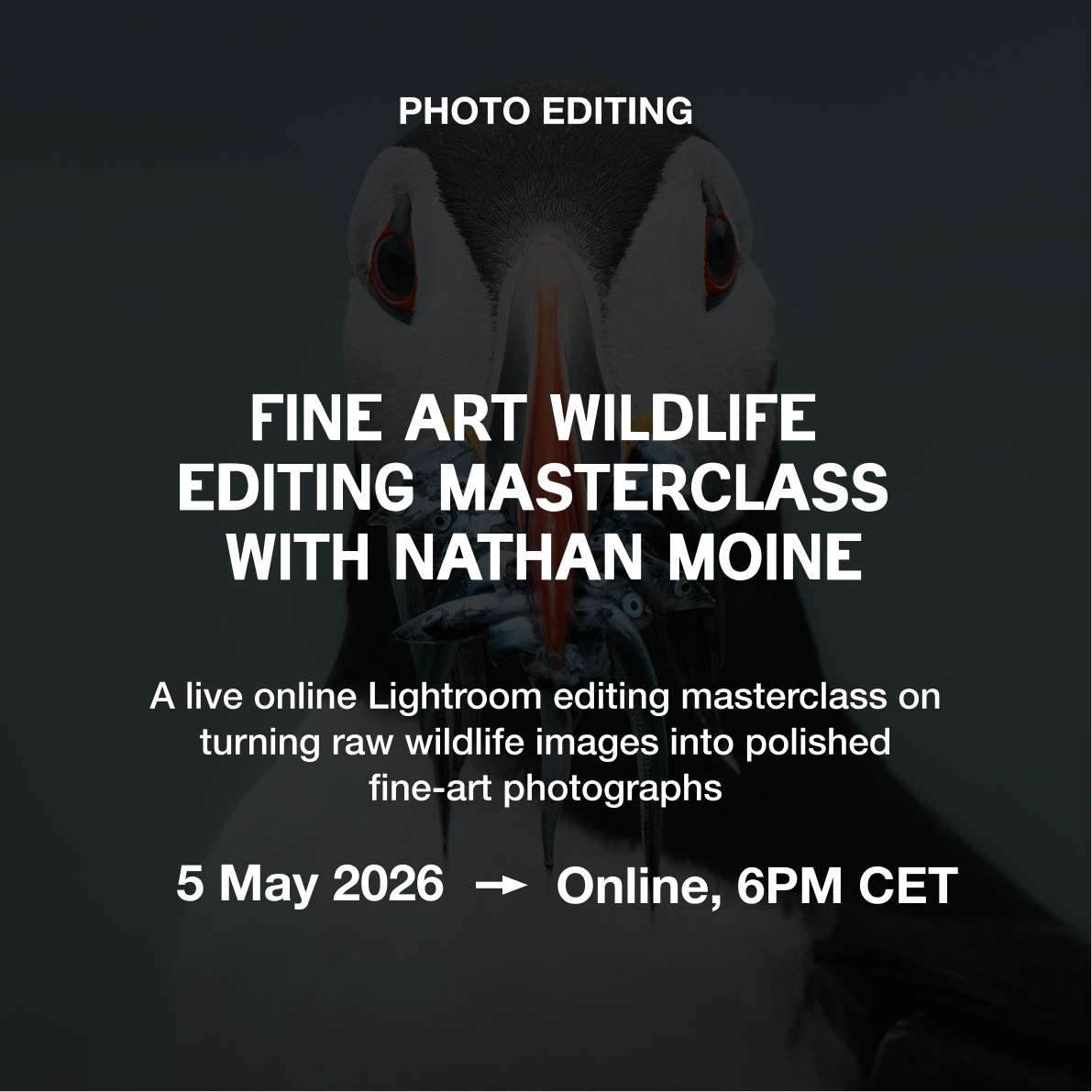 Fine Art Wildlife Editing Masterclass with Nathan Moine