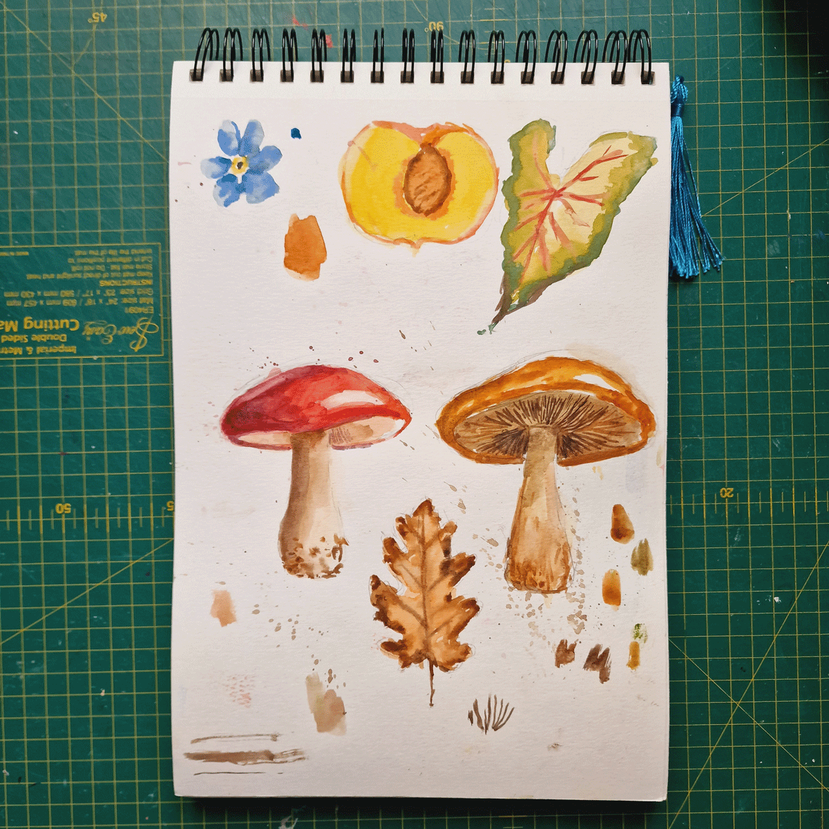 Alfie-Gatt-Botanicals-5-Compressed.png
