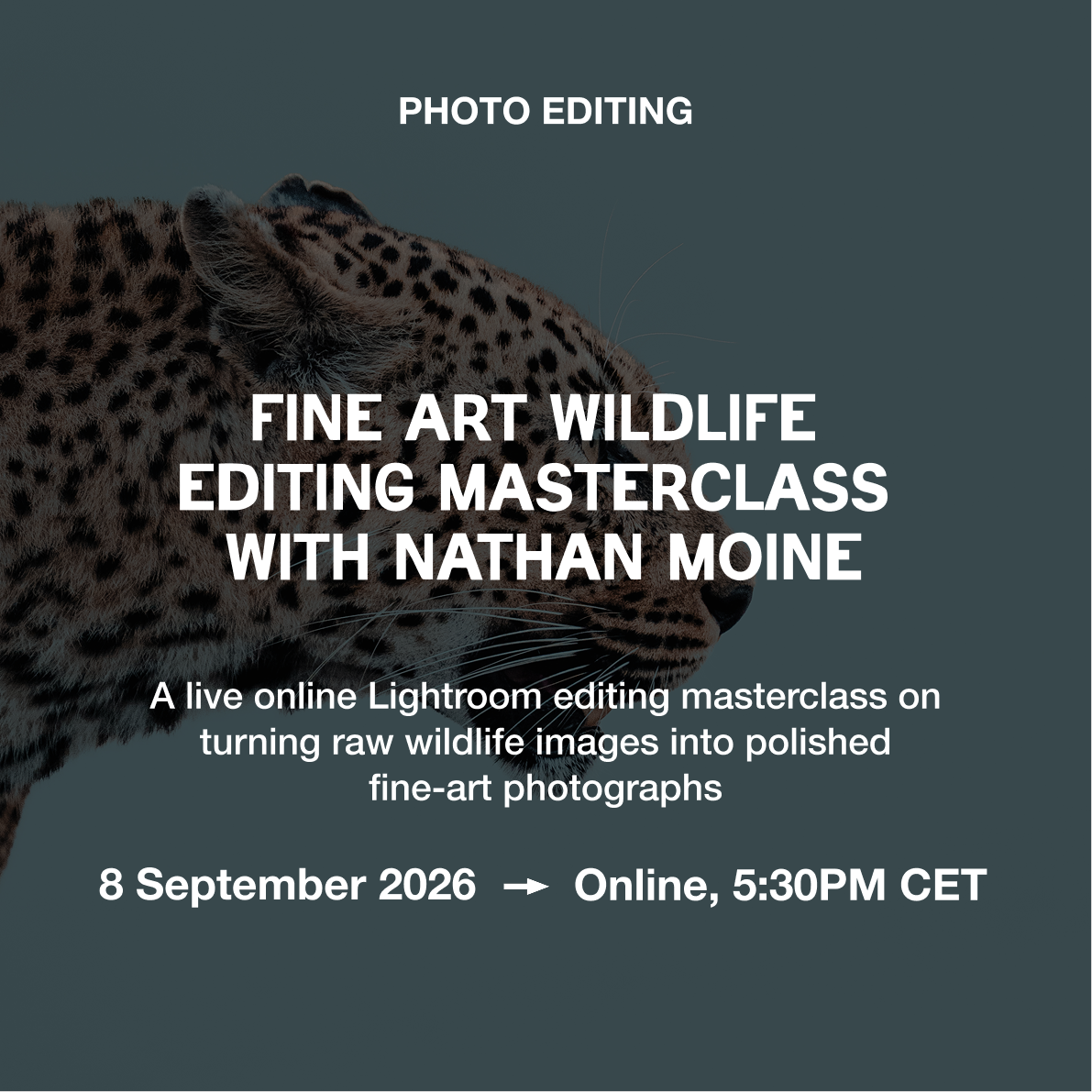 Fine Art Wildlife Editing Masterclass with Nathan Moine — 8 Sep, Online