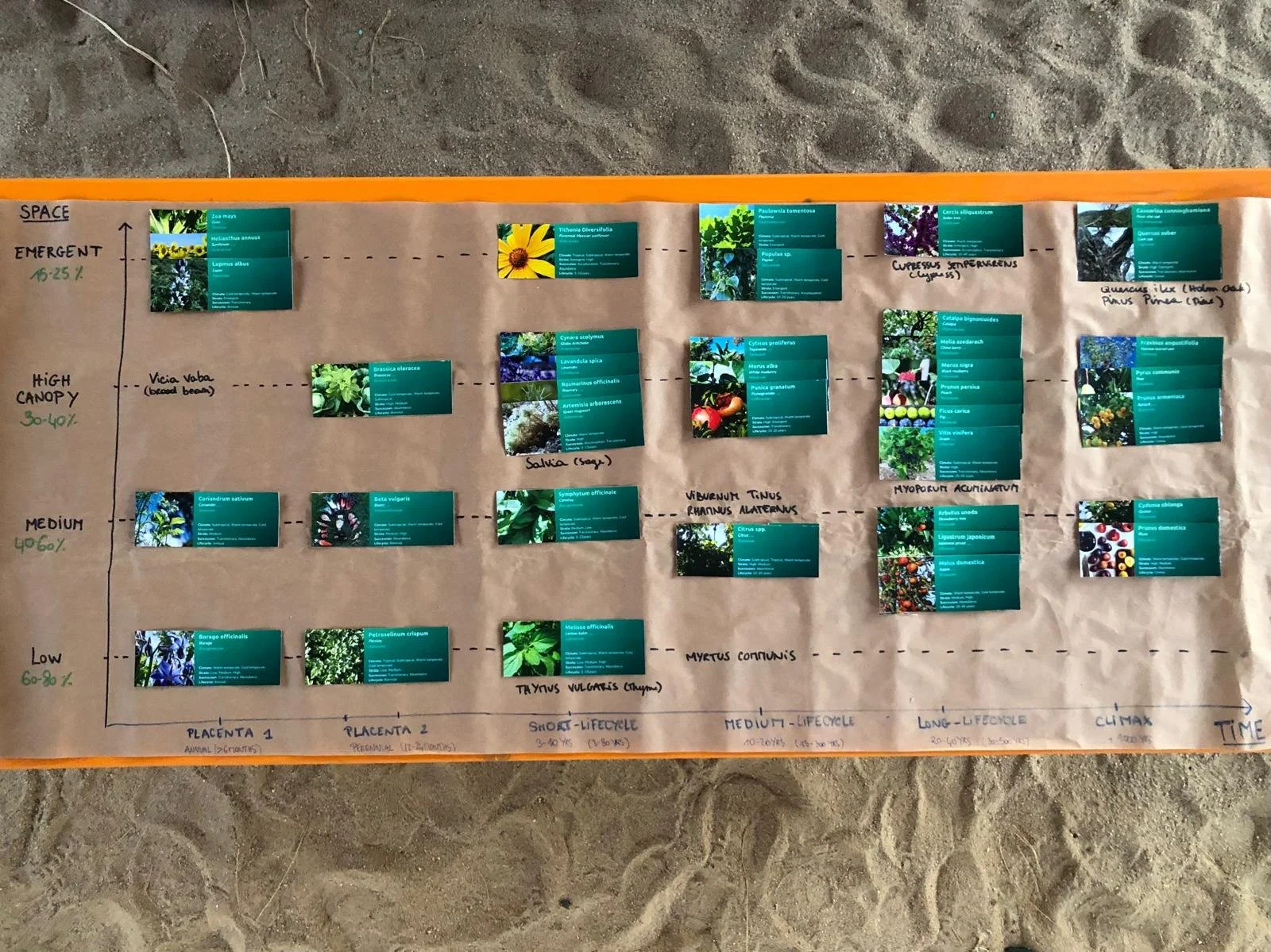 agroforestrydesign.jpeg