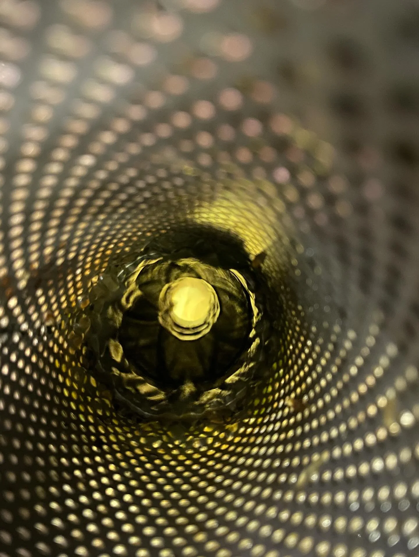 October 2024. Pressed Chardonnay heading down the filter to start fermentation. Wiston harvest 2024.