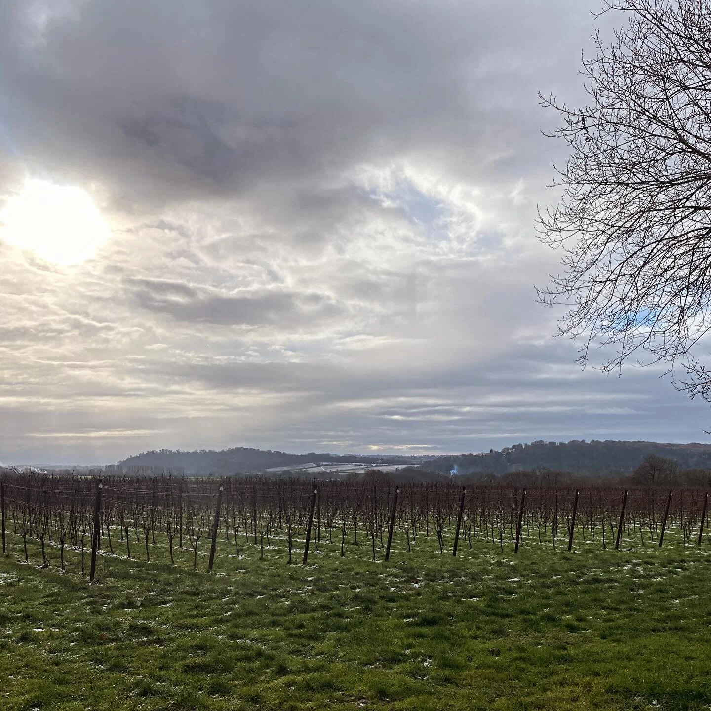 Chilly weather out in the vines today&hellip; beautiful views from a wintry @otiumwineestate ❄️