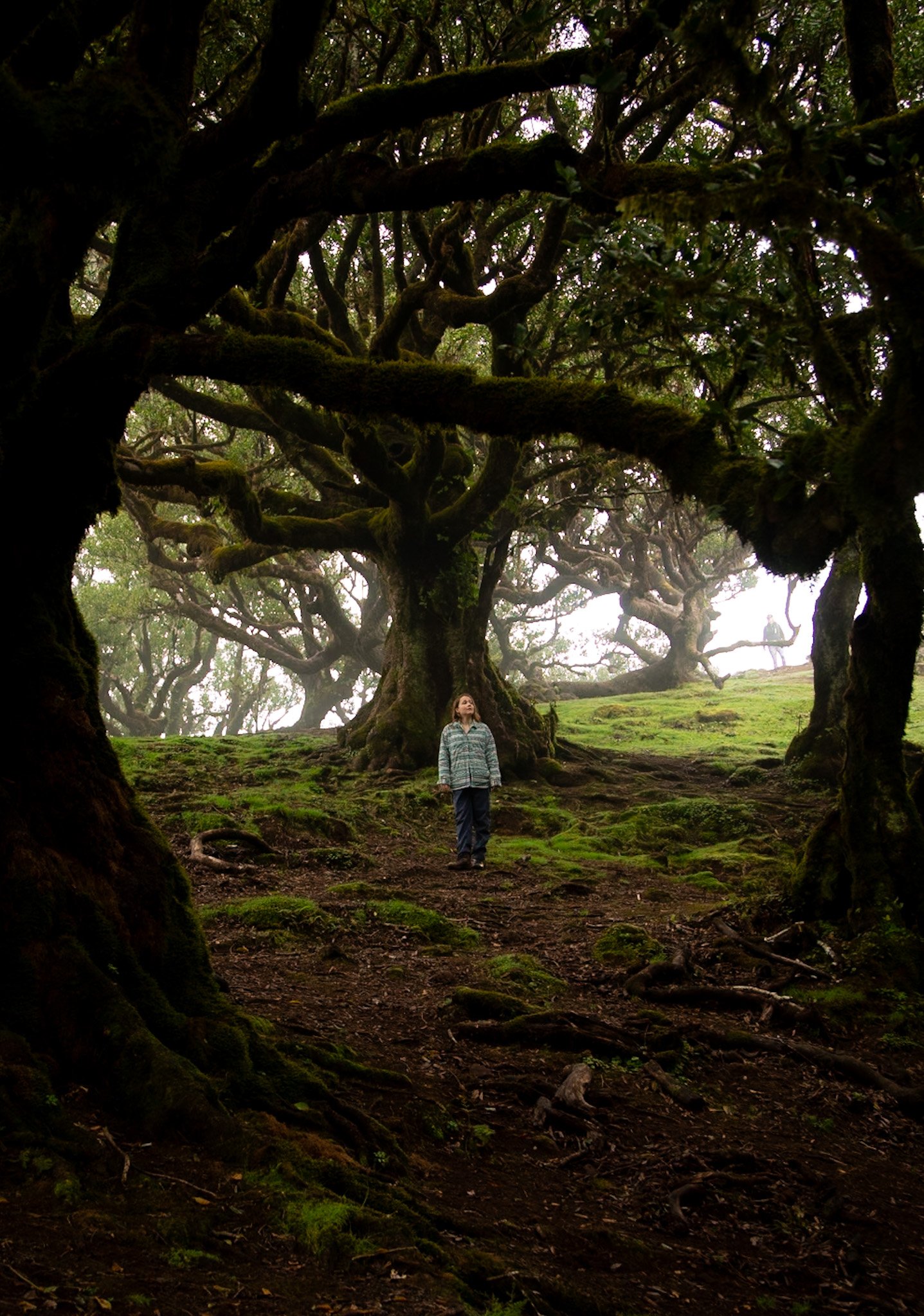 New Term - Ascending Chakras; Anahatha Open Heart 