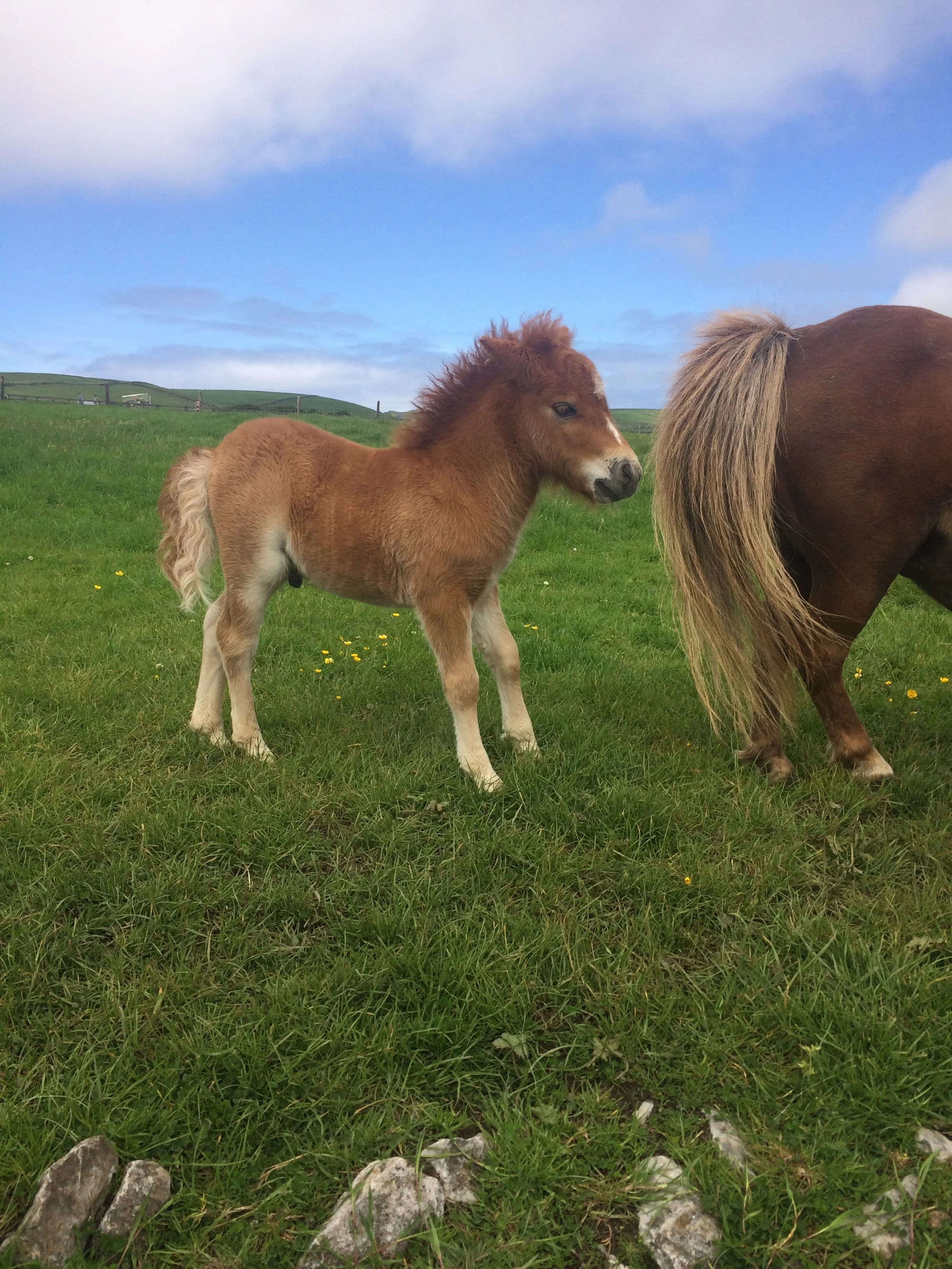 Week Three - Ajna Chakra, Sixth Sense
