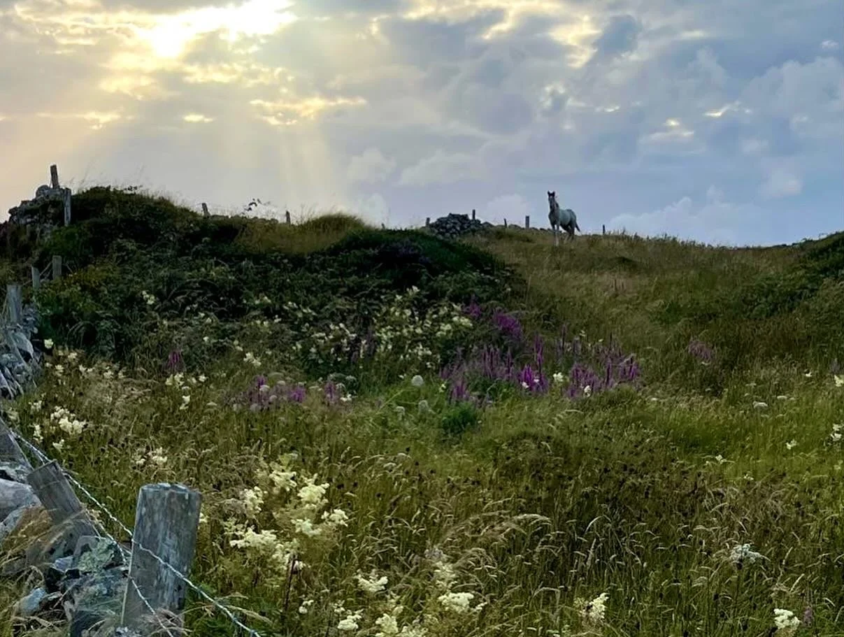 New Yoga Term - The Antahkarana, Inner Instrument 