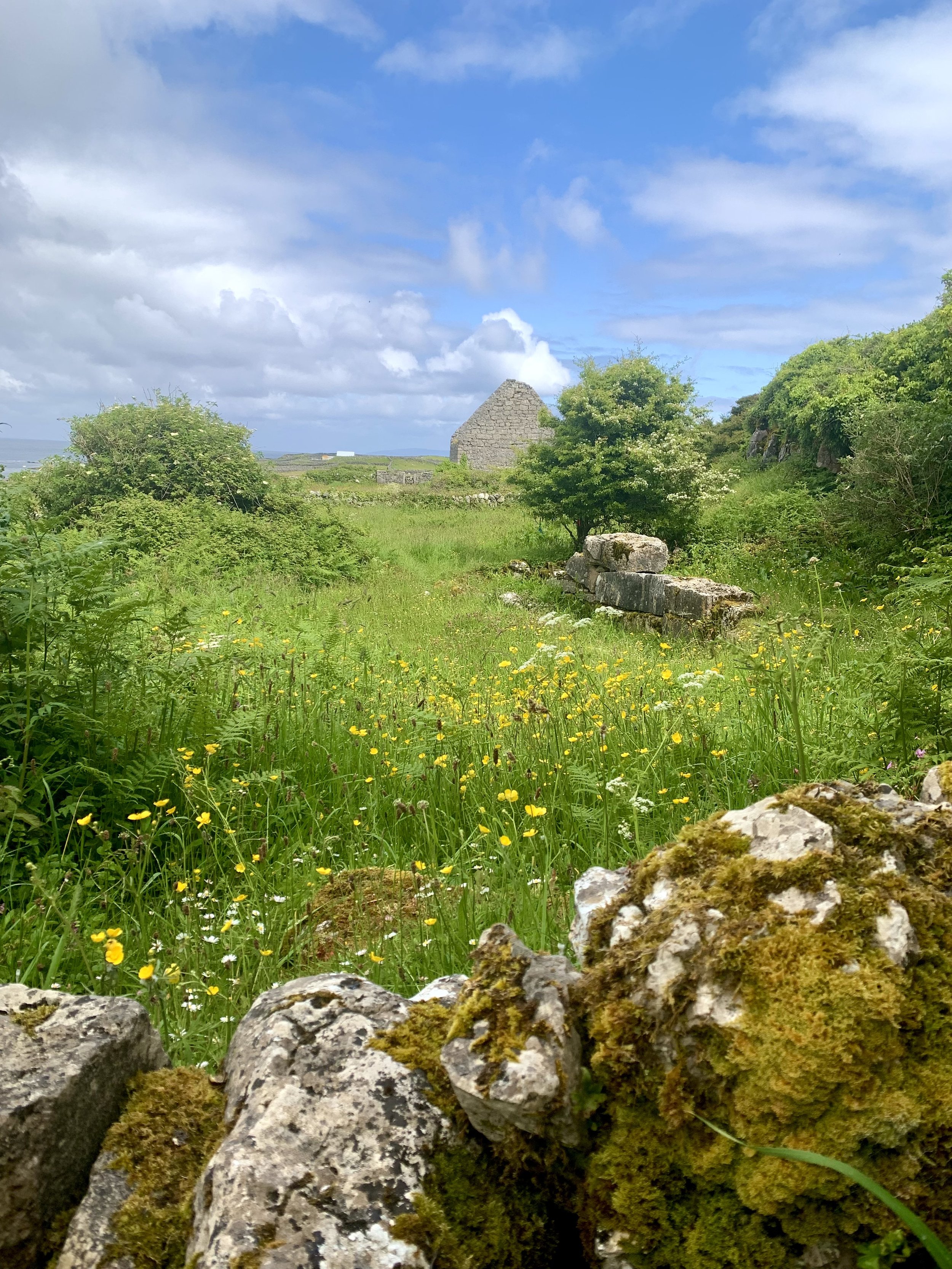 Week Two - Buddhi Intellect, The Wise Mother