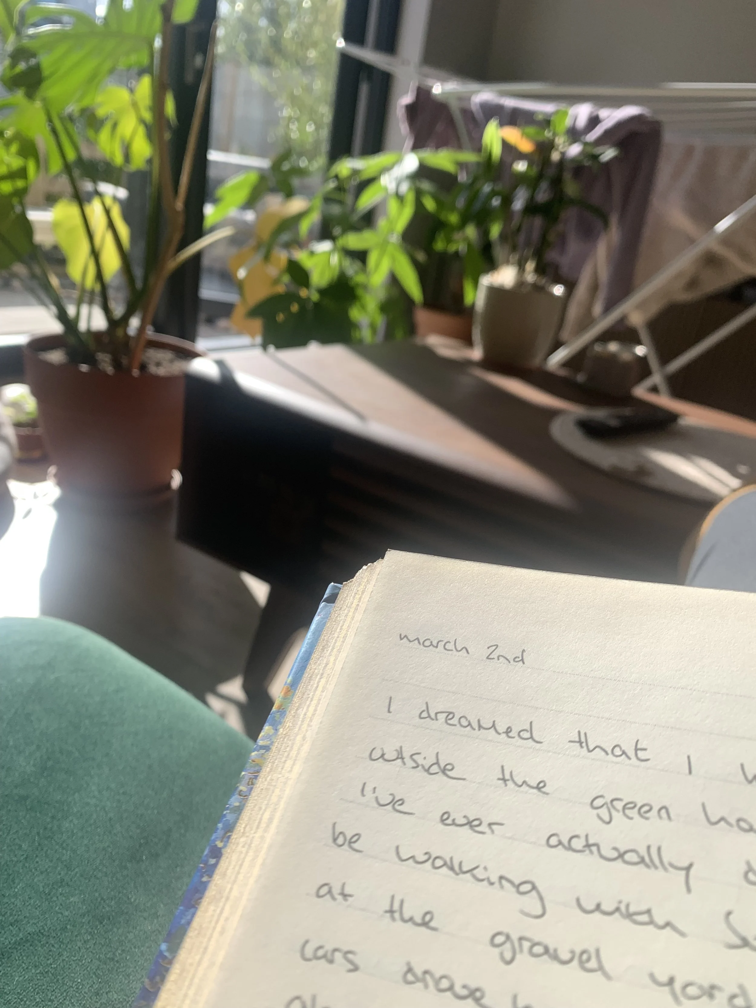 Week Three - The Storehouse of Chitta, Subconscious Mind