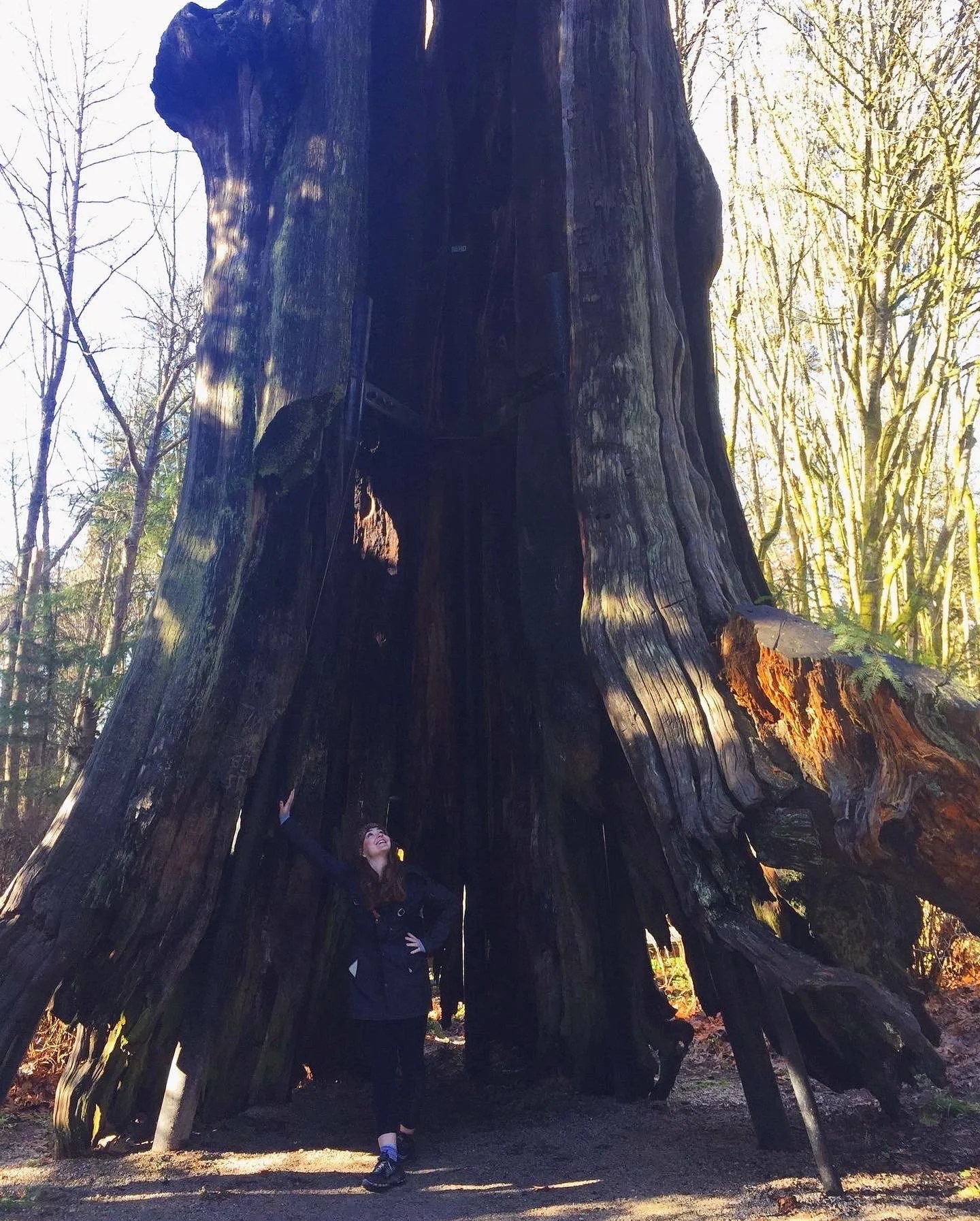 Week Four - An Anam Cara in Ahamkara, Befriending the Ego