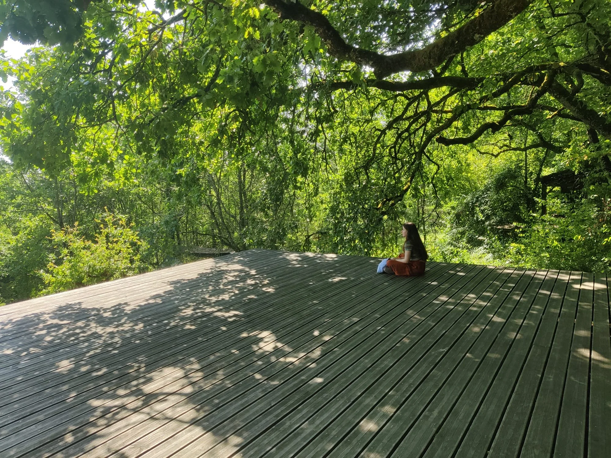 We’re Back! Yoga in Greystones; an Elemental Term