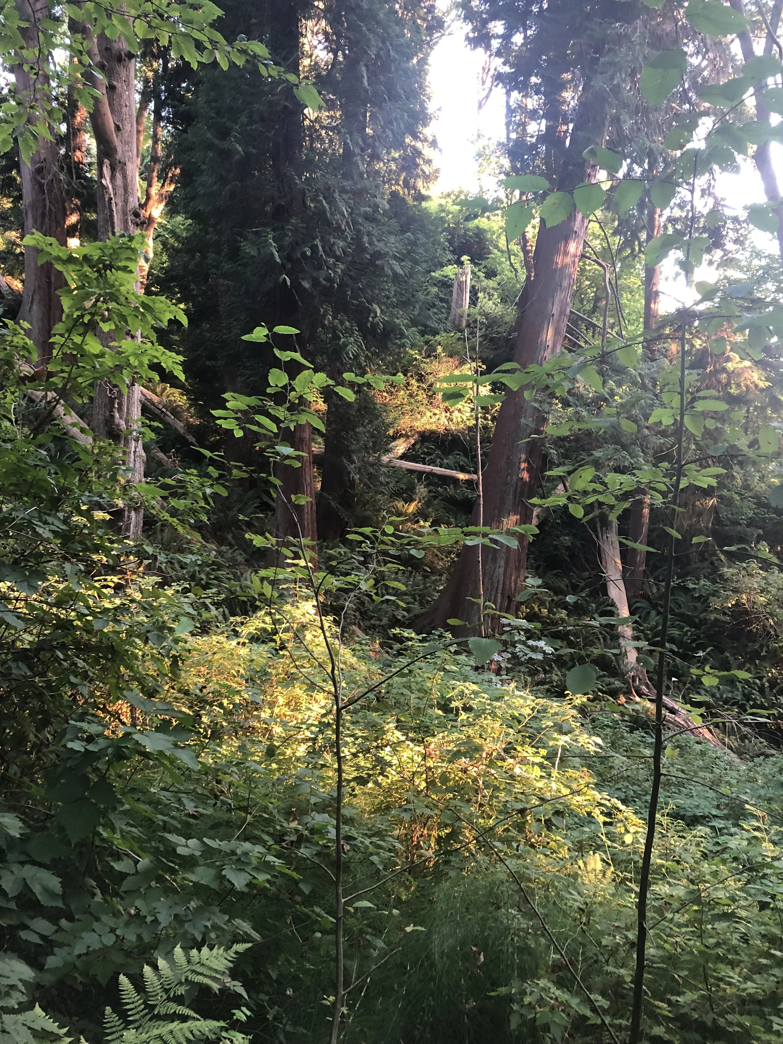 Week One ~ Grounding Into Connection