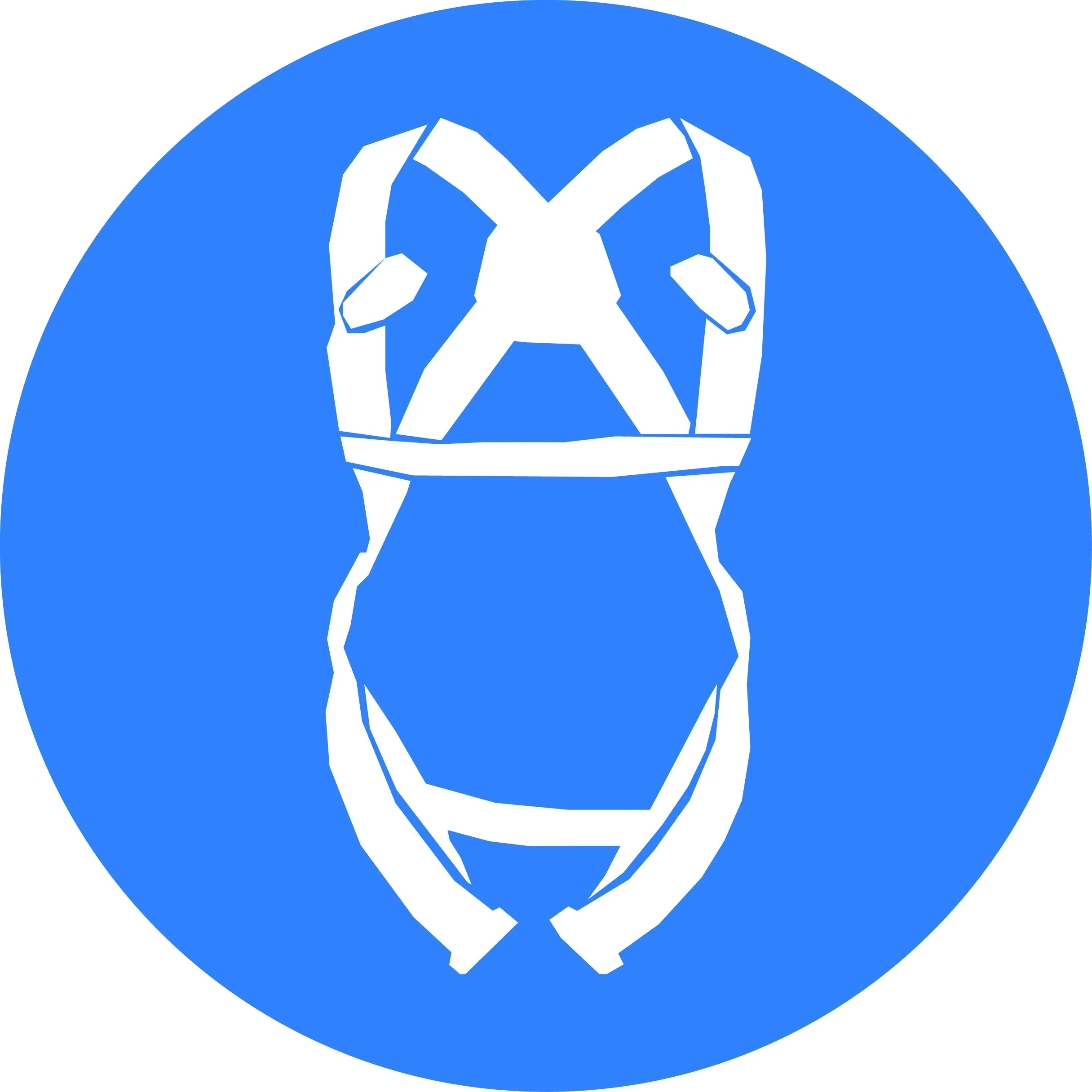 PICTOS règles d'or_R8-32.jpg