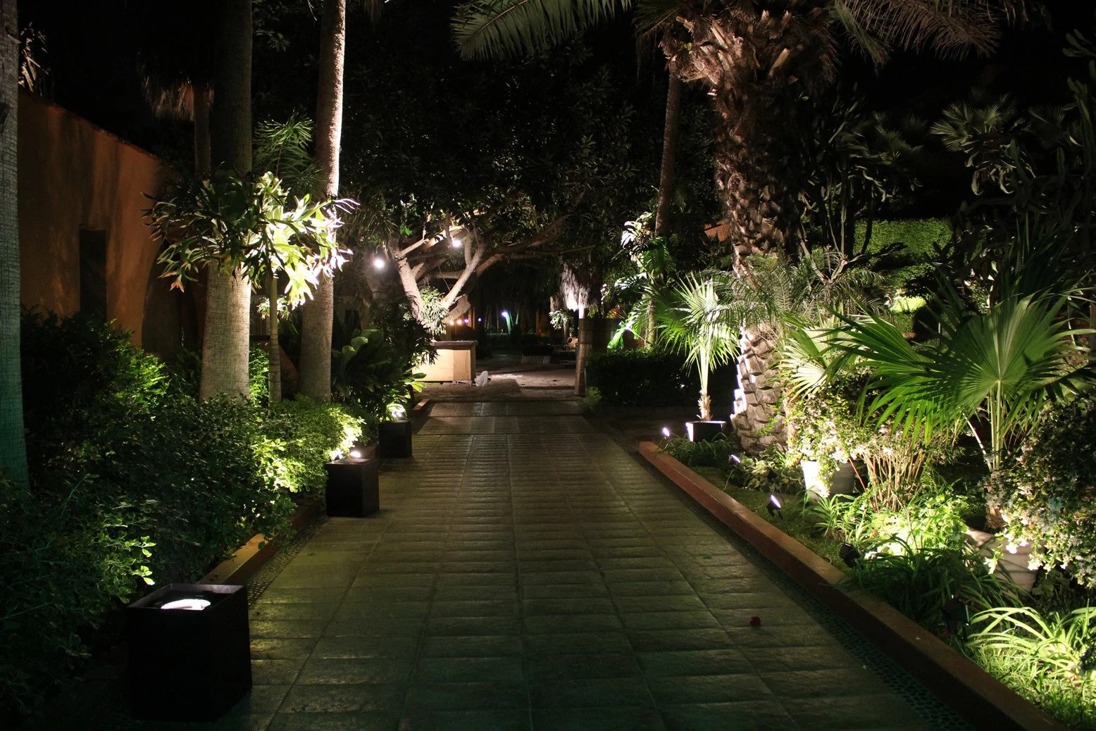 Camino iluminado en un jardín nocturno con plantas tropicales y árboles, con luces empotradas en el suelo y a los lados.