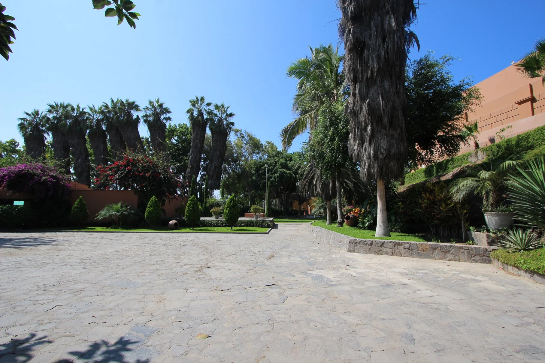 Camino de piedra rodeado de árboles palmeras y plantas en un parque o jardín con cielo despejado.
