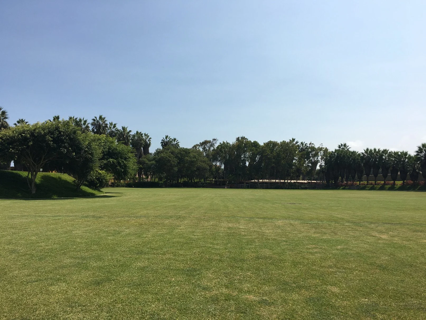 Campo de césped amplio con árboles y arbustos en el fondo bajo un cielo despejado