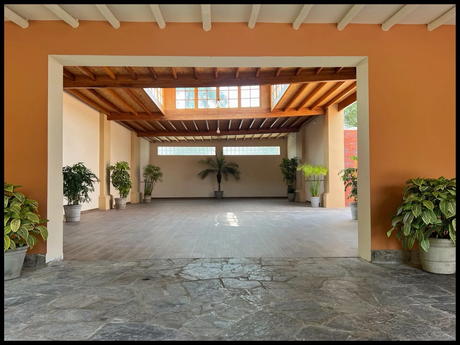 Espacio interior con paredes blancas, techo de madera y plantas en macetas, iluminado por ventanas de vidrio.