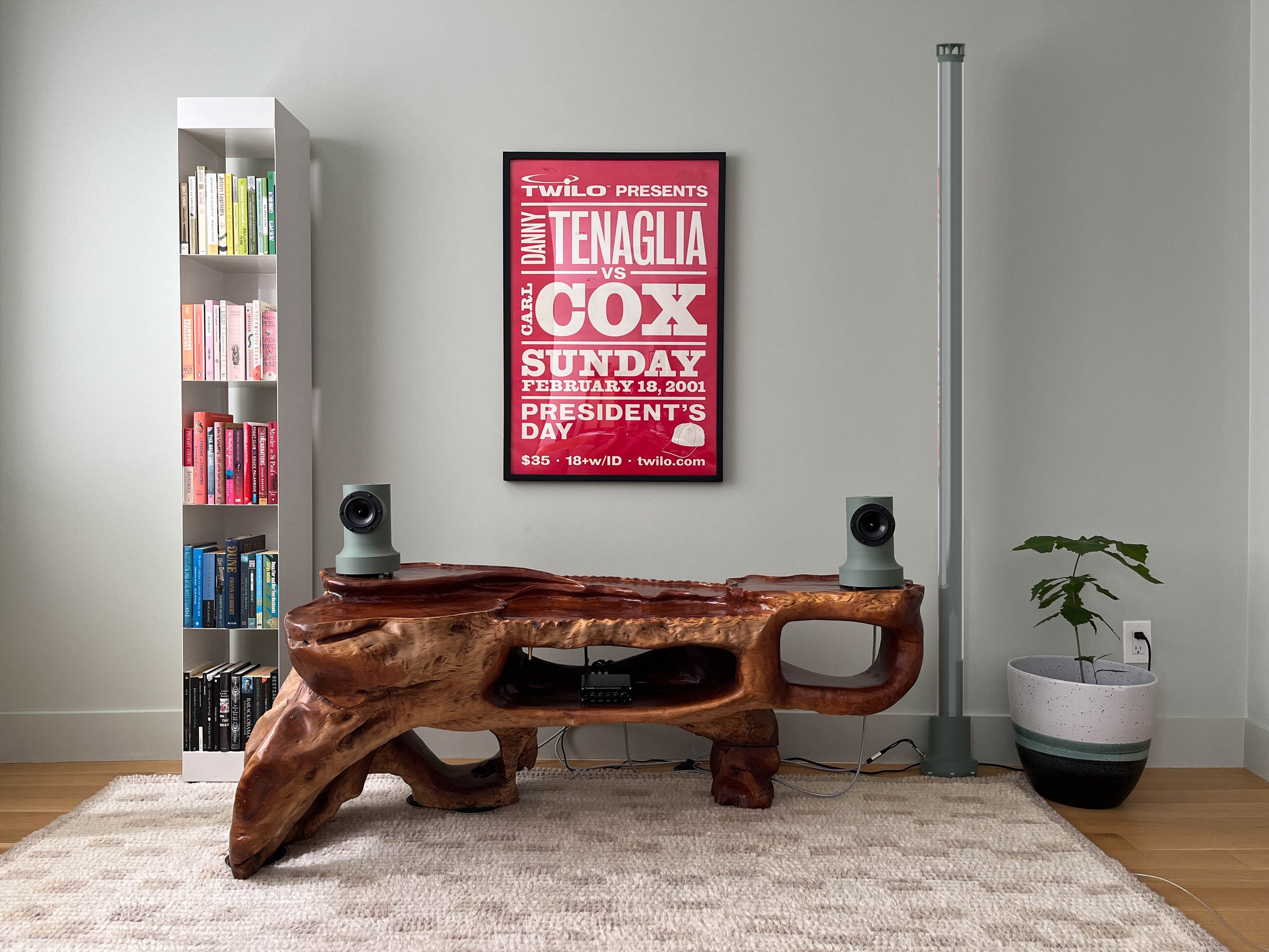 Living room with a wooden TV stand, a white bookshelf filled with books, two speakers on the stand, a framed poster on the wall, a potted plant, and a large speaker, all on a beige rug.