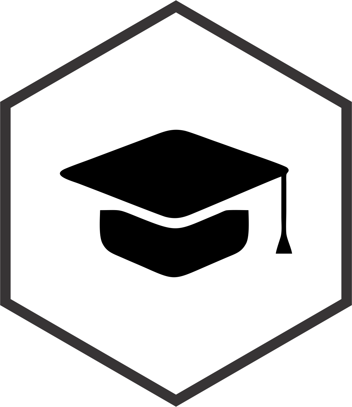 Black hexagon shape with a gray border.