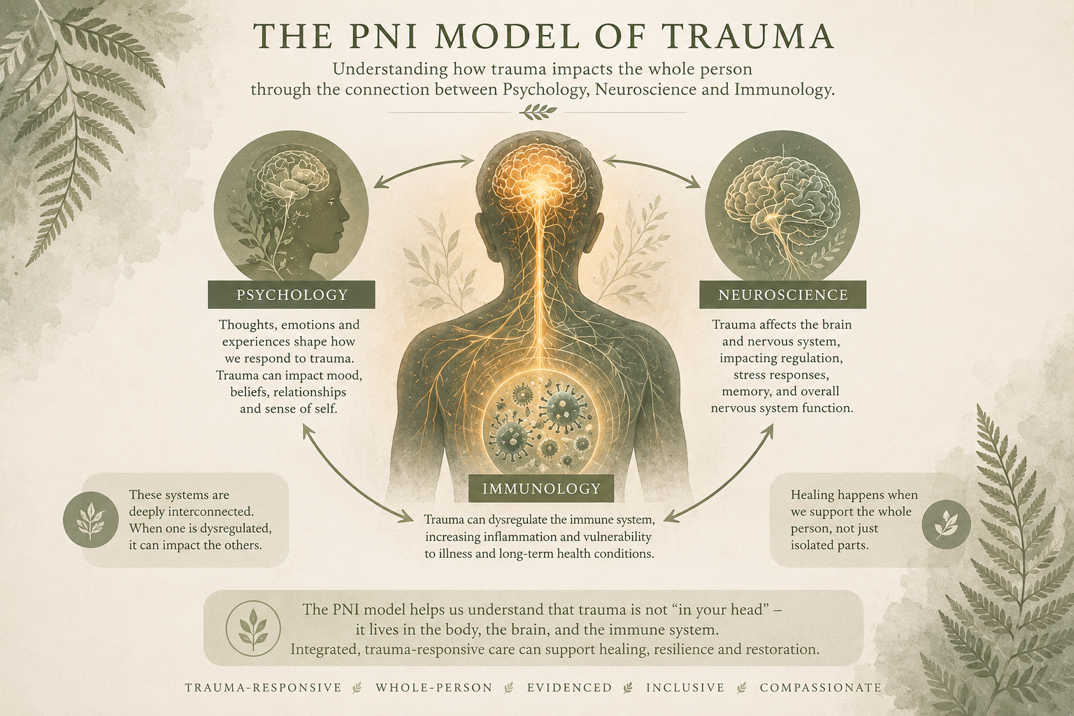 An infographic titled "The PNI Model of Trauma" showing the interconnected relationship between psychology, neuroscience, and immunology. It illustrates how trauma impacts the whole person through these connections, emphasizing the importance of trauma-responsive, whole-person care for healing and resilience.