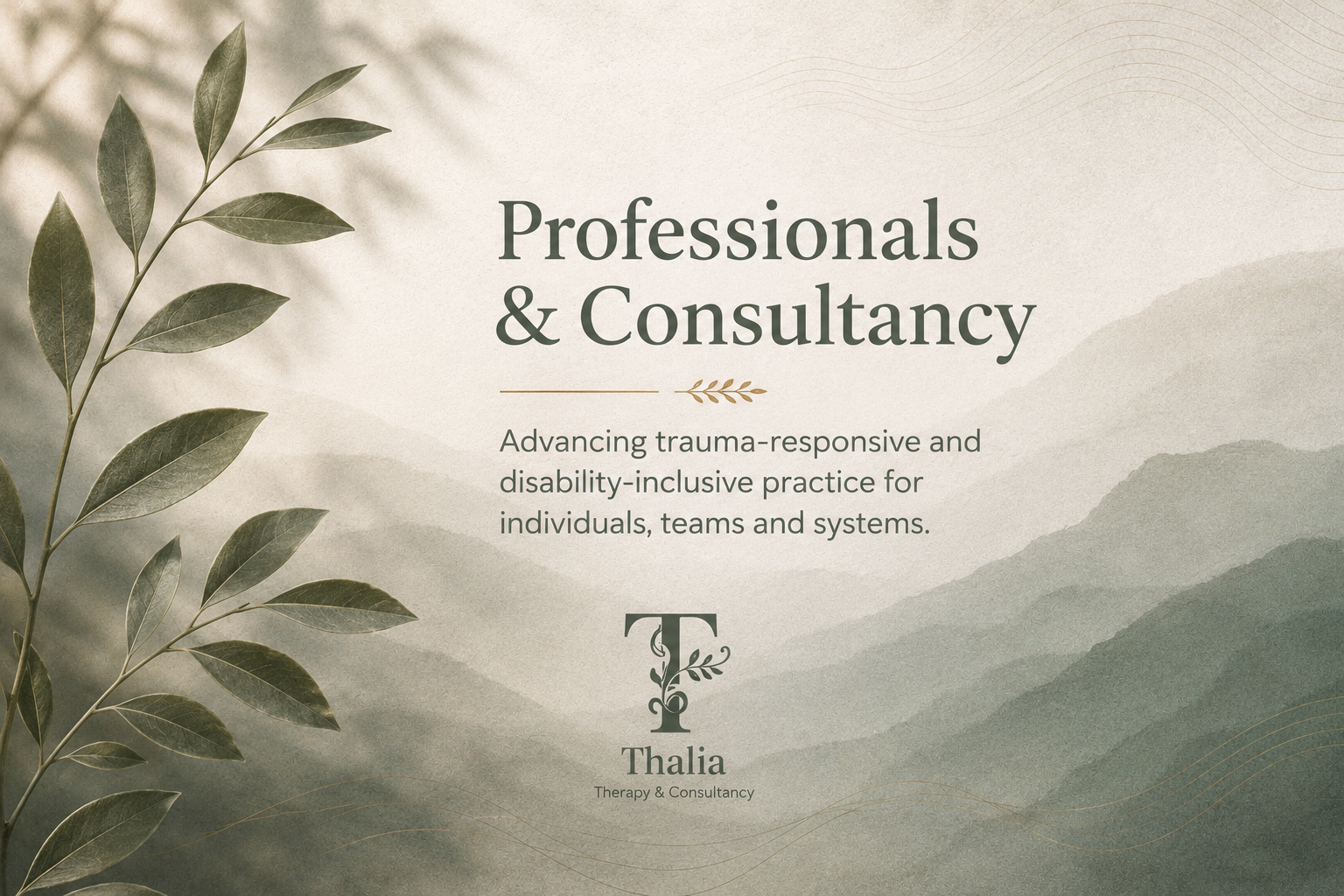 Training for Professionals on trauma domestic abuse and disability