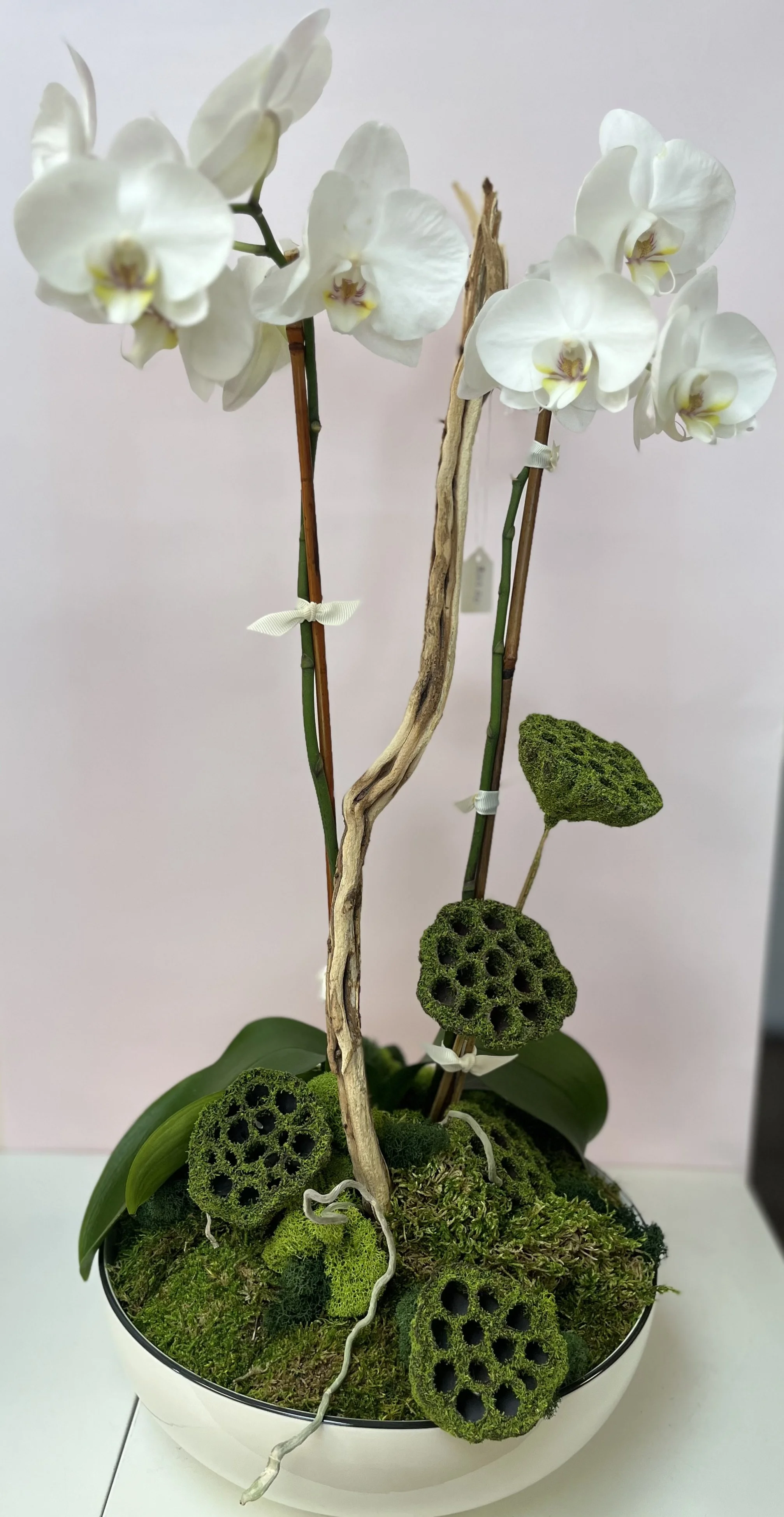 Double-Stem White Orchids with Lotus Pod Garden