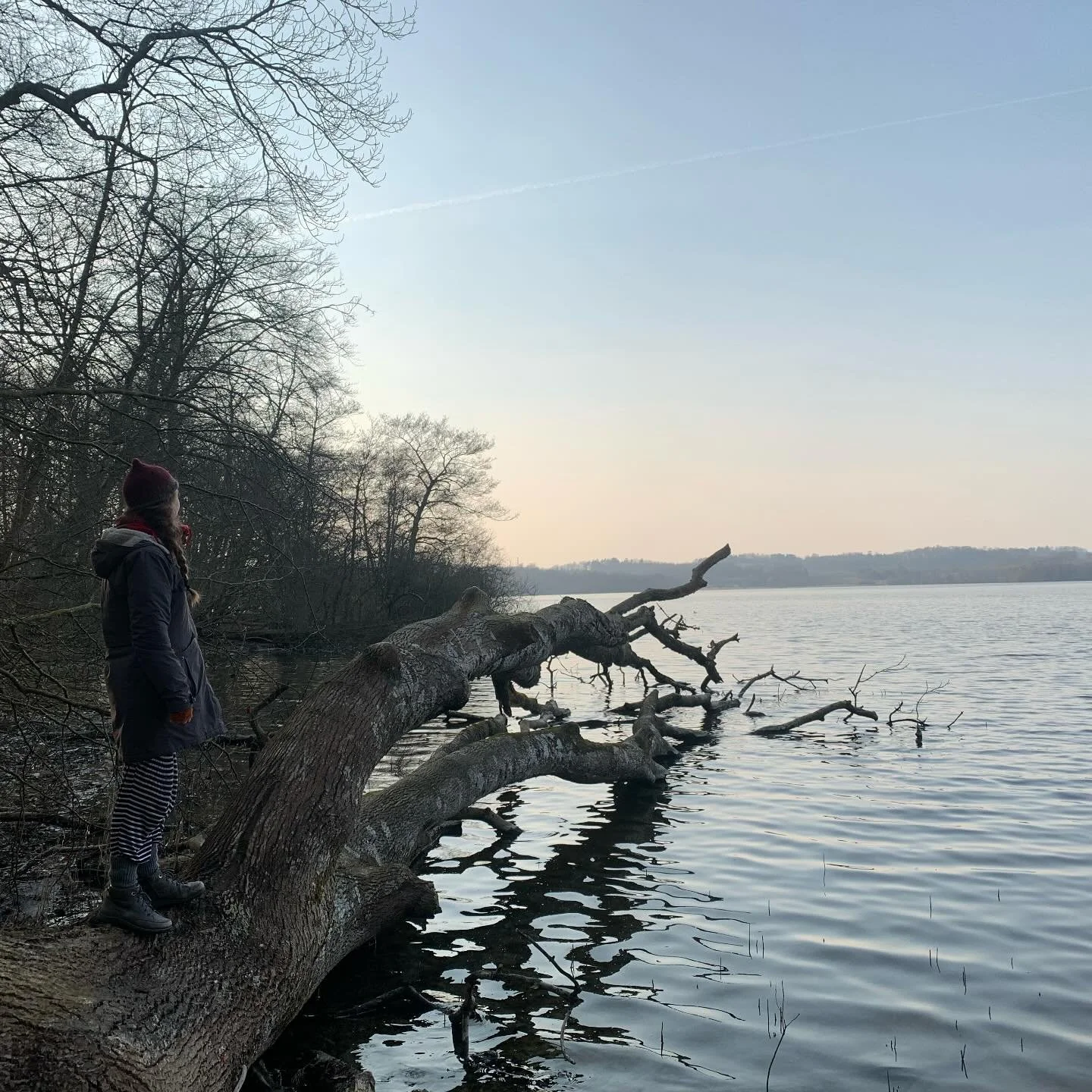 FULL STOP &amp; TRUE LOVE 

When I couldn&rsquo;t find home, home found me. 
When I couldn&rsquo;t make myself to stop, to yield.
Thankfully my body made me. 
When I could not respond to what I heard when I listened.
Life turned lovingly around me. 
