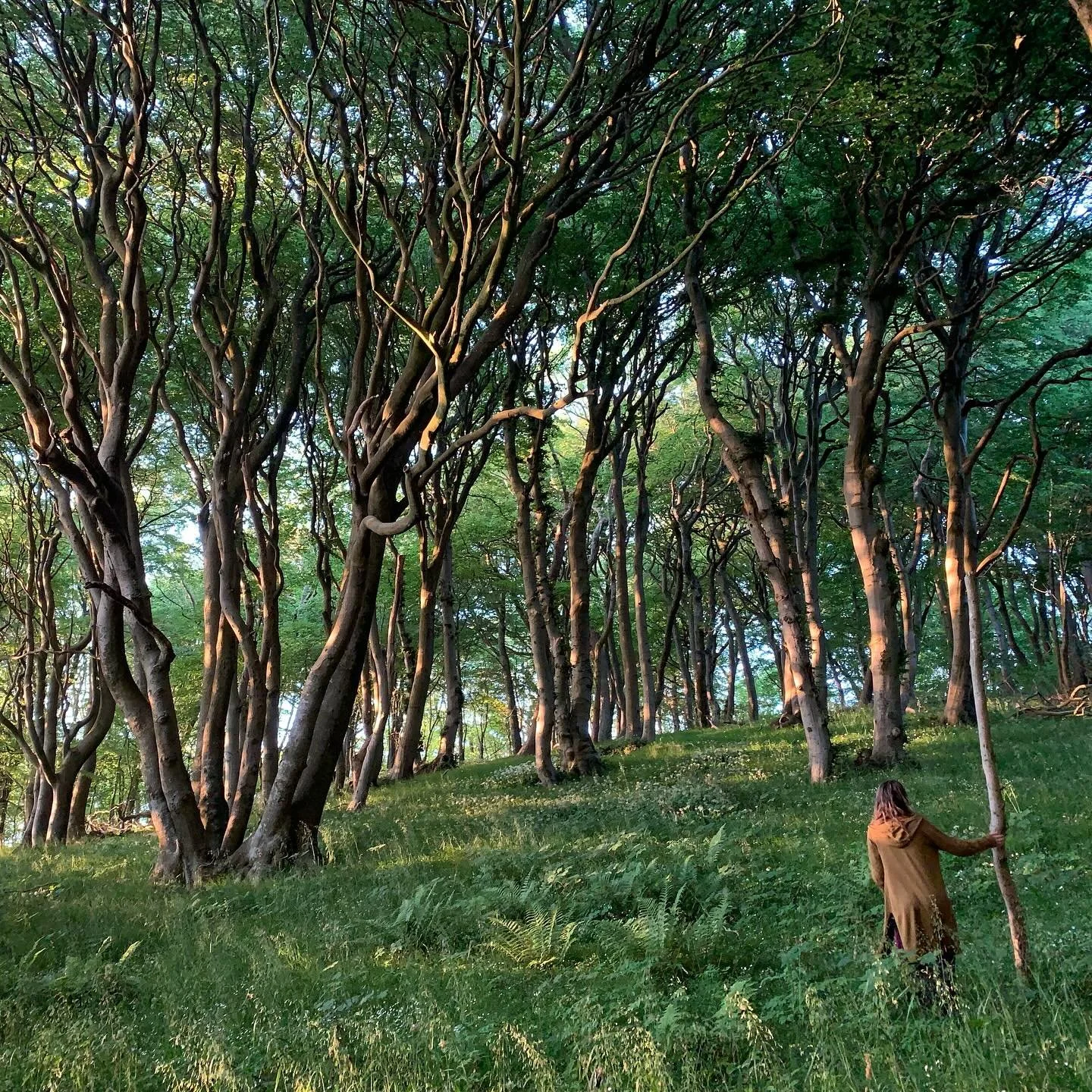 The magic of place ✨

How landscapes also embody personality distinct from the many sentient beings and spirits that belongs to them. 
Similar, I feel, to us and our multitude of parts. 

Like my many dear human friends - I have many dear landscape f