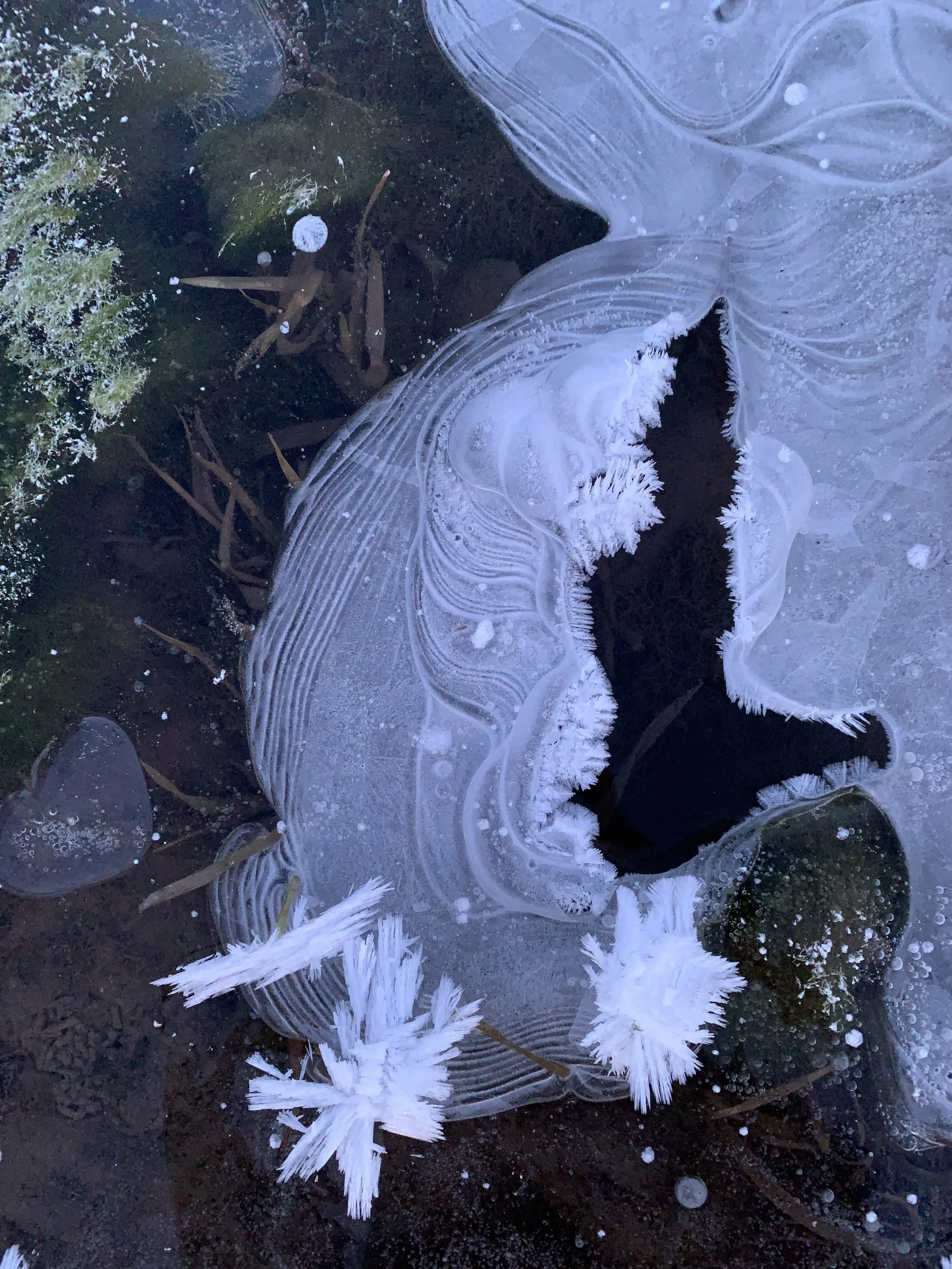 Close-up of an ice crystal on frozen water.