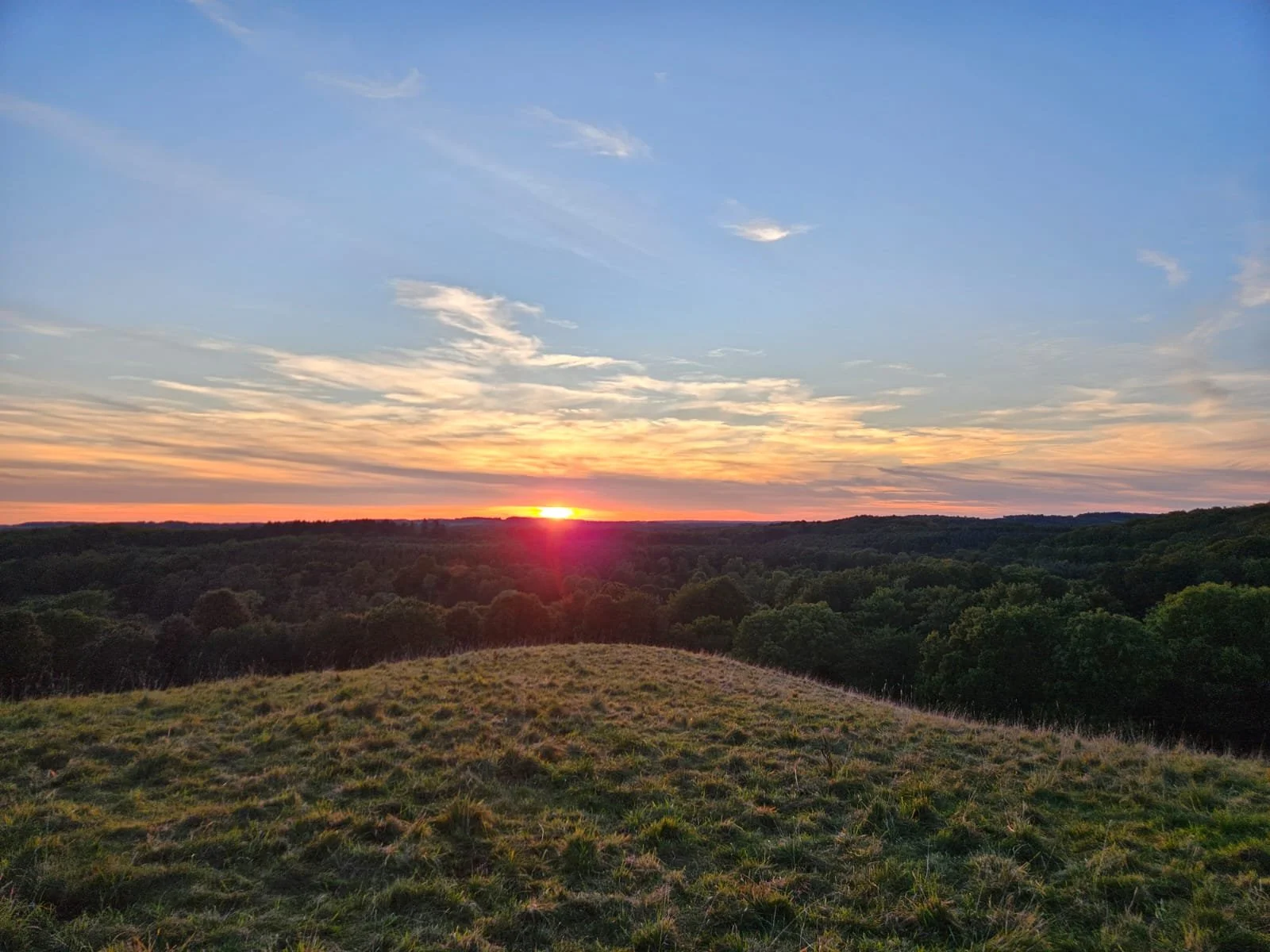 A sunset over a vast landscape with grassy foreground, thick green forests, and a sky with scattered clouds.
