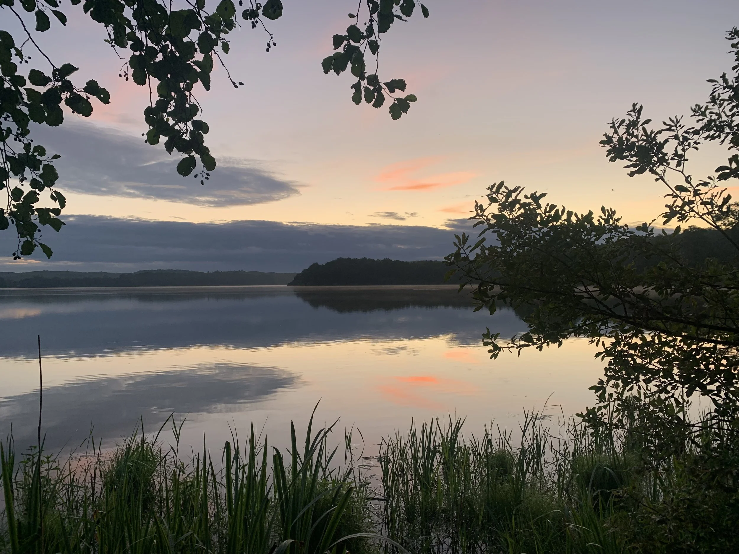 Serene lakeside scene at sunset with calm water reflecting the colorful sky, framed by overhanging branches and tall grass at the shoreline.