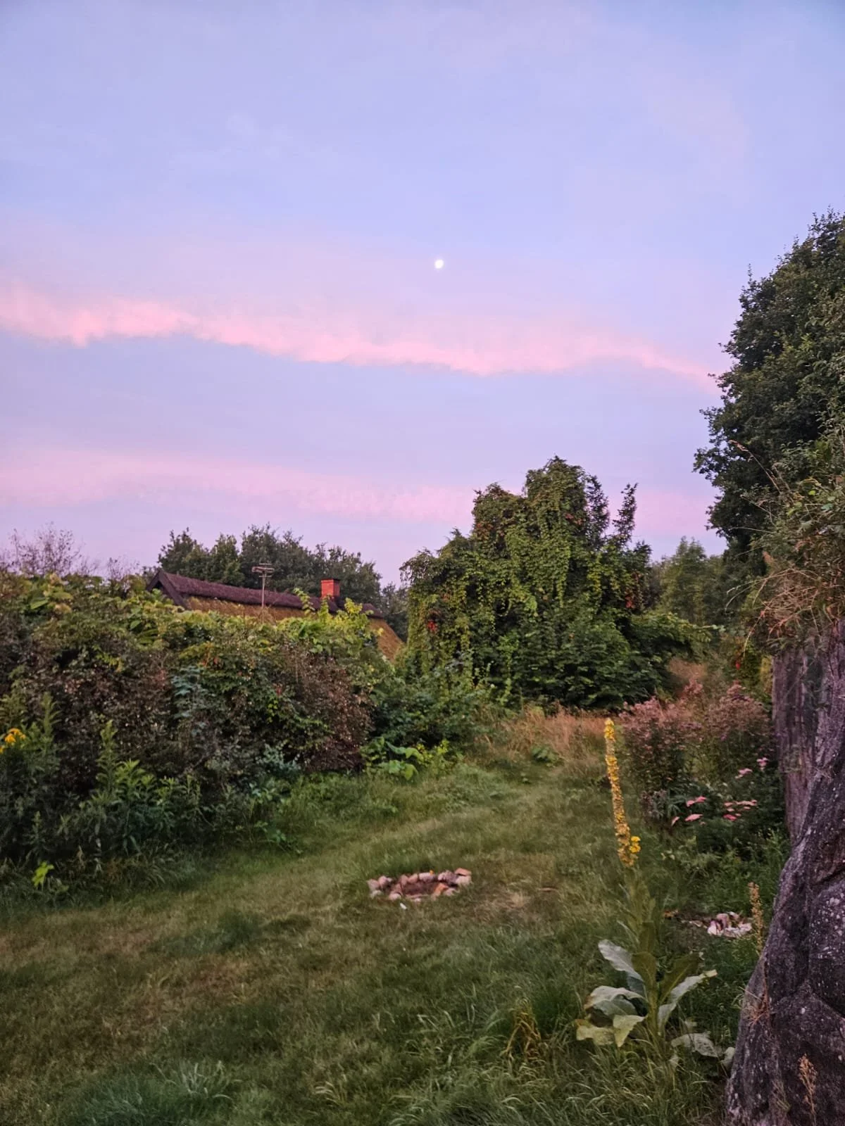 A scenic backyard with lush greenery, tall trees, flowering plants, and a grassy lawn under a twilight sky with clouds and a visible moon.