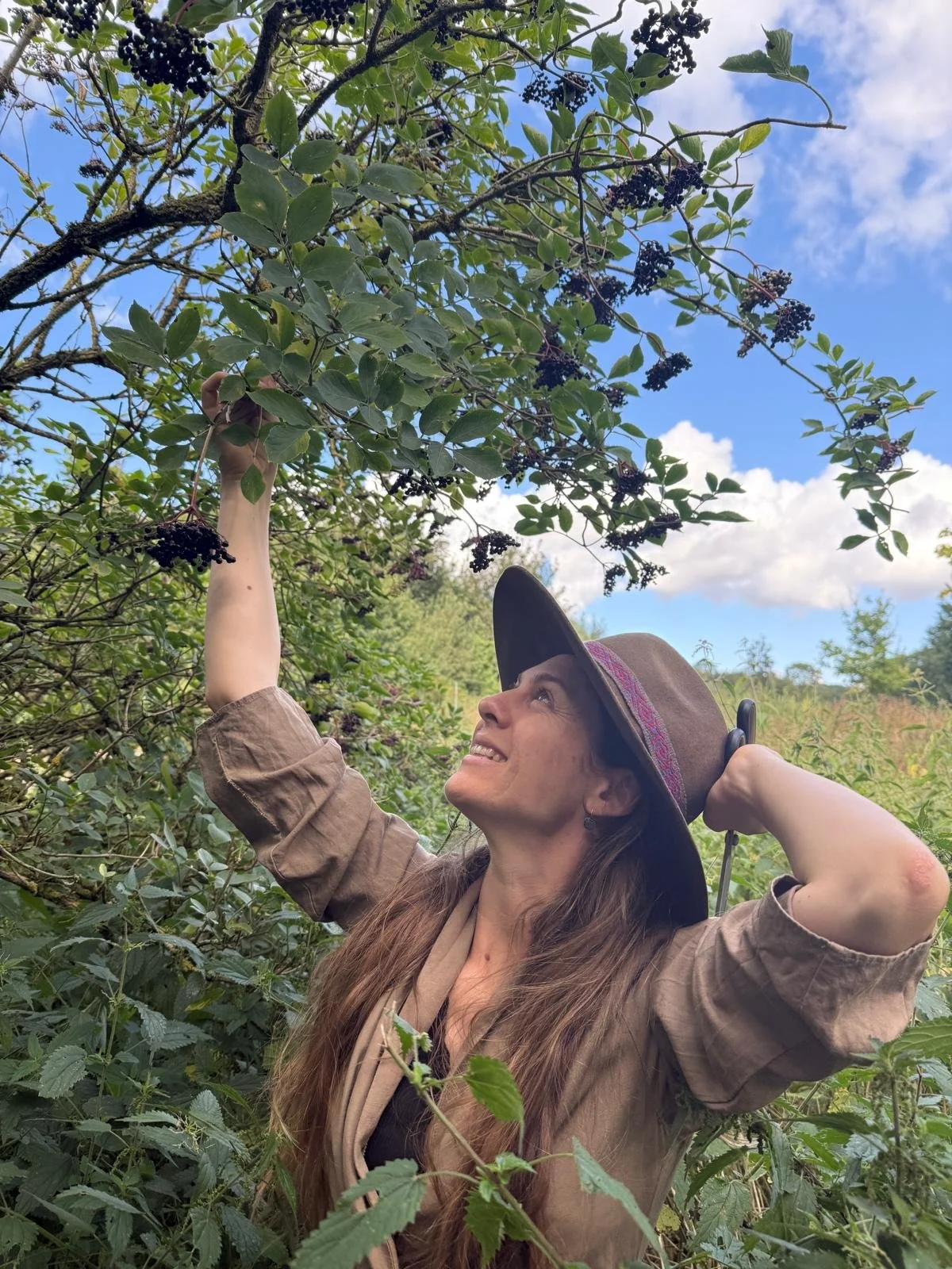 Kaya picking Elderberries from a tree outdoors with blue sky and clouds in the background.