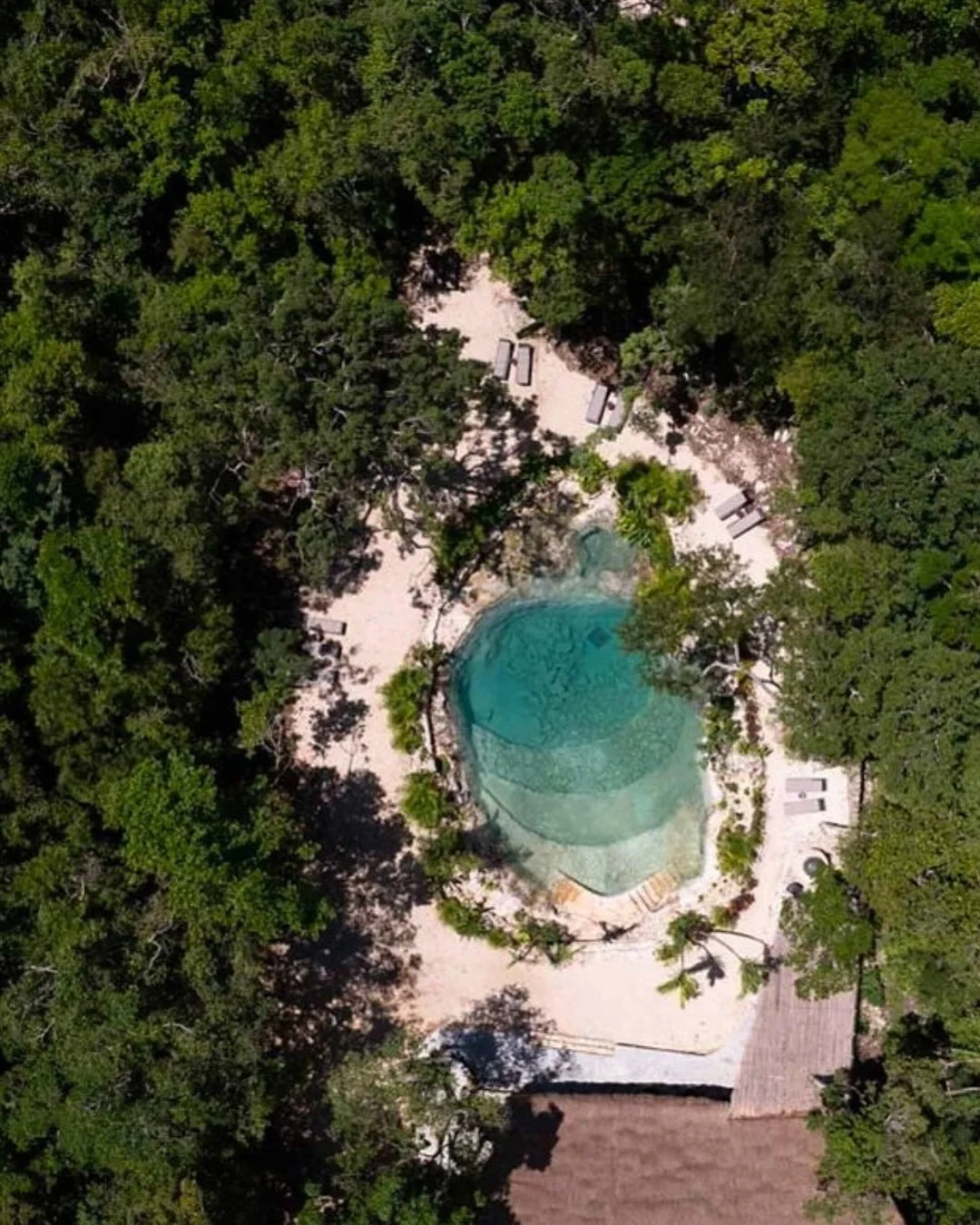 We are super excited about this one! 
✨ MEXICO RETREAT &bull; 31 MARCH - 6 APRIL 2026✨

We are heading to this stunning heaven in the Mexican jungle for a transformative journey of connection, nourishment and renewal, co-hosted with our beloved adopt