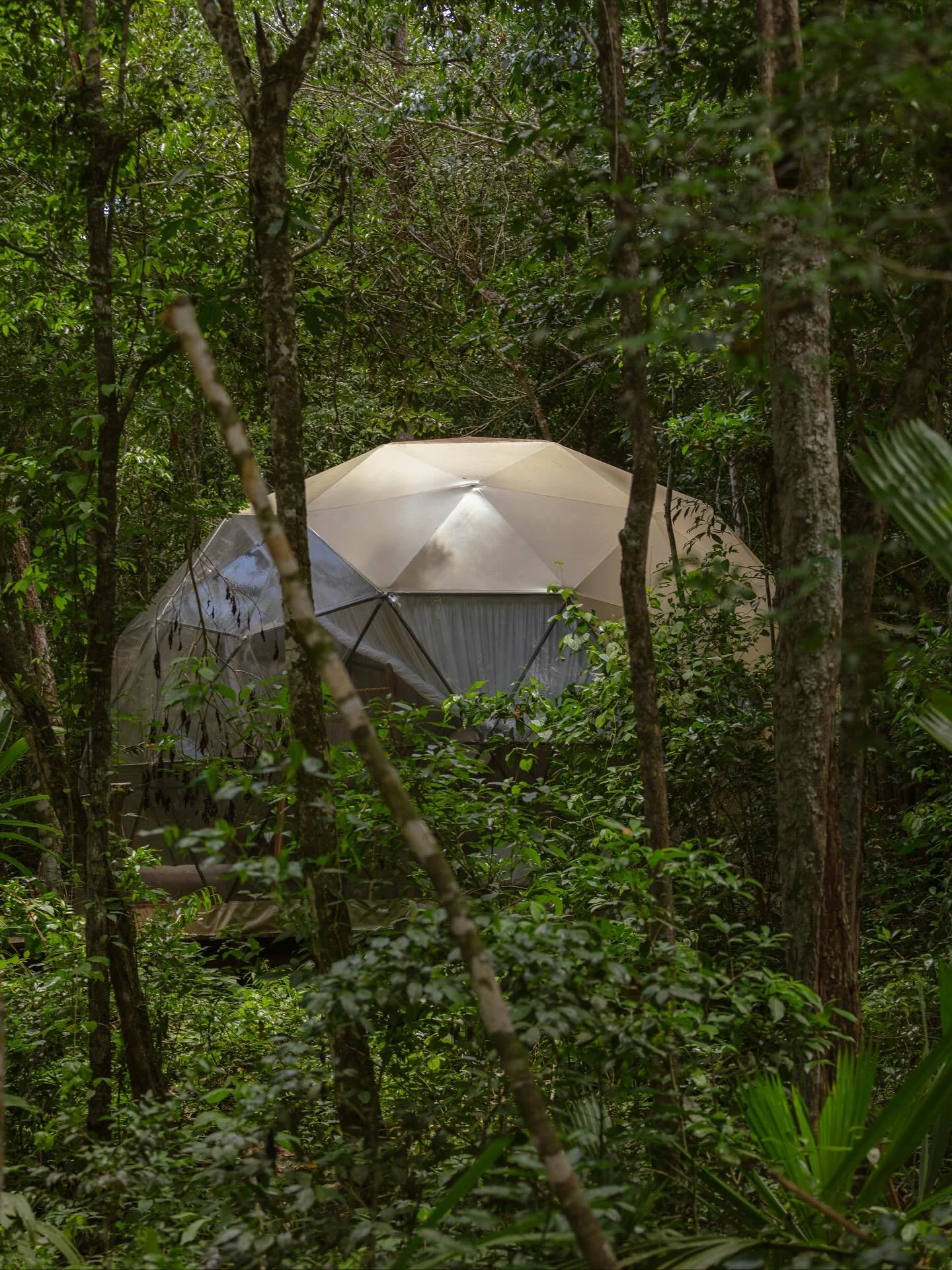 Mexico Jungle Retreat- take a look at where we are staying.

Wake up surrounded by lush jungle, birdsong, and soft morning light filtering through your private dome sanctuary. 

These beautiful geodesic domes blend nature and comfort - complete with 
