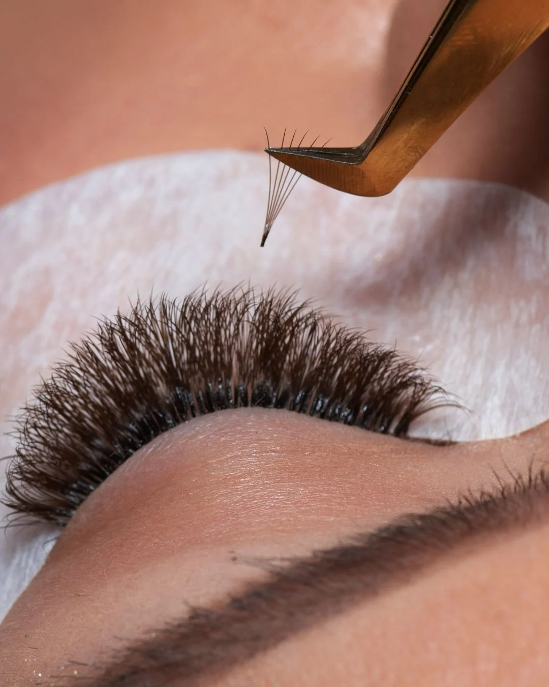 A close-up view of a person's eye with eyelash extension being applied using an eyelash extension applicator.