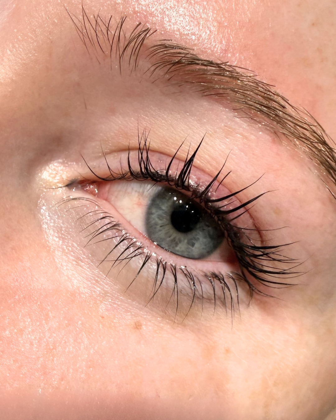 Korean_lash_lift_mala.png