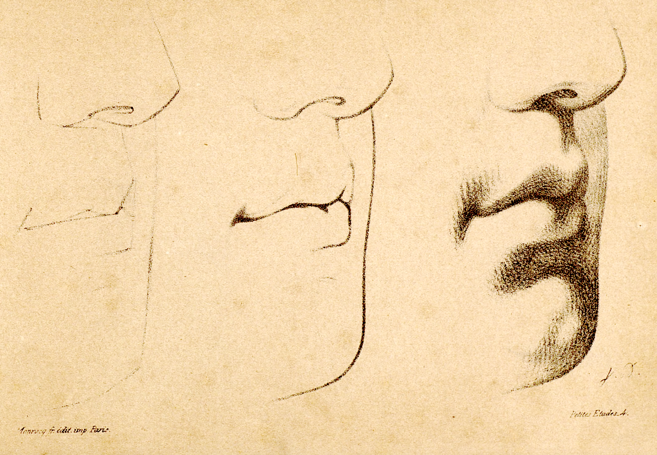 Sketch of three profiles of a woman's face, focusing on the nose and lips, with the right profile being the most detailed.