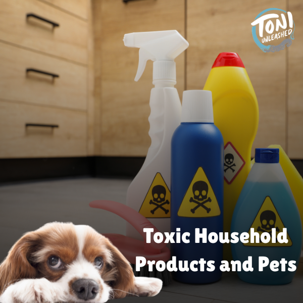 Toxic Household Products and Pets