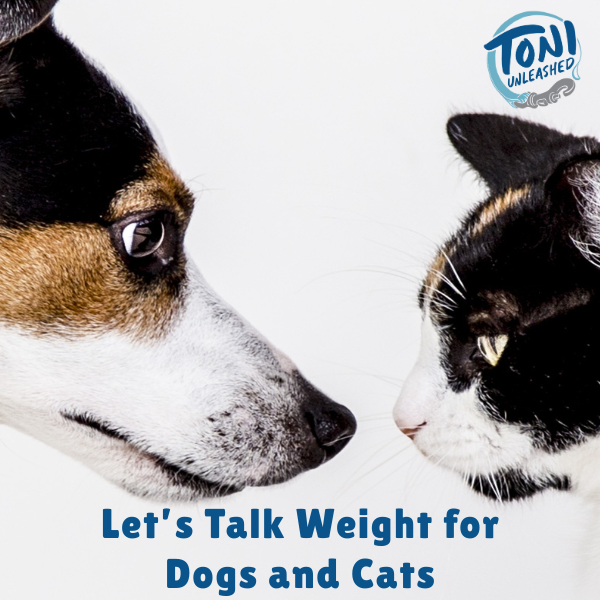 Let’s Talk Weight for Dogs and Cats