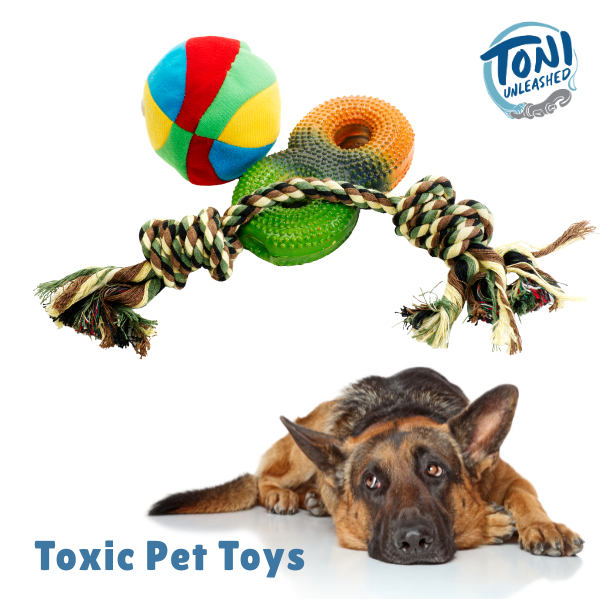 Toxic Pet Toys