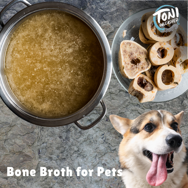 Bone Broth for Pets