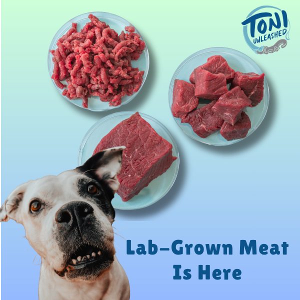 Lab-Grown Meat Is Here 